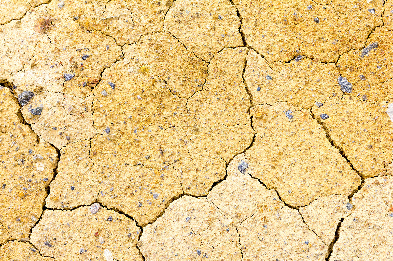 Canon EOS 60D sample photo. Cracks in the dry land photography