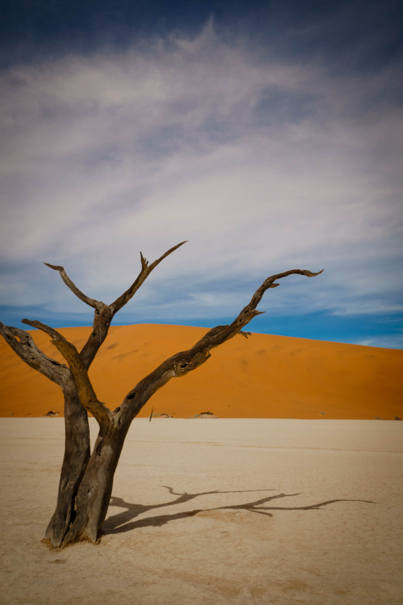 Sony Alpha a5000 (ILCE 5000) + Sony E 10-18mm F4 OSS sample photo. Beautiful deadvlei photography