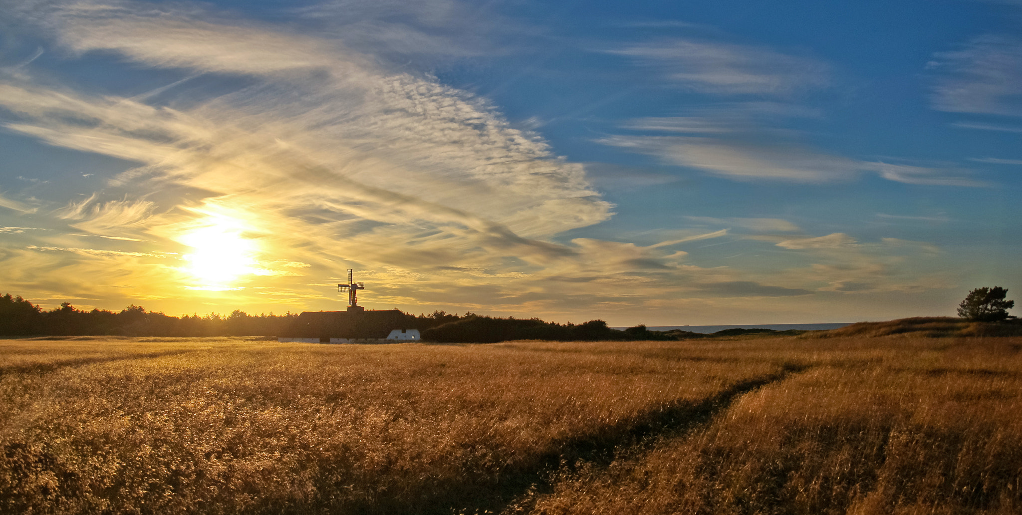 Canon EF-S 17-55mm F2.8 IS USM sample photo. Вечерний отдых photography