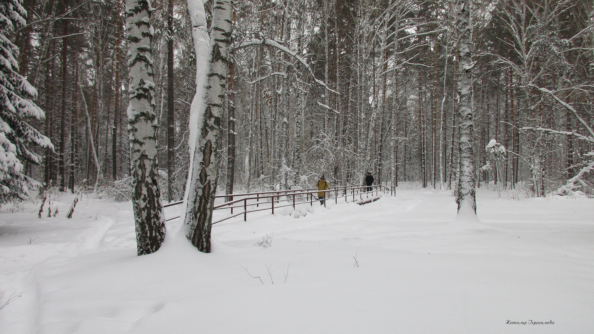 Canon PowerShot ELPH 170 IS (IXUS 170 / IXY 170) sample photo. The path again leads to my forest photography