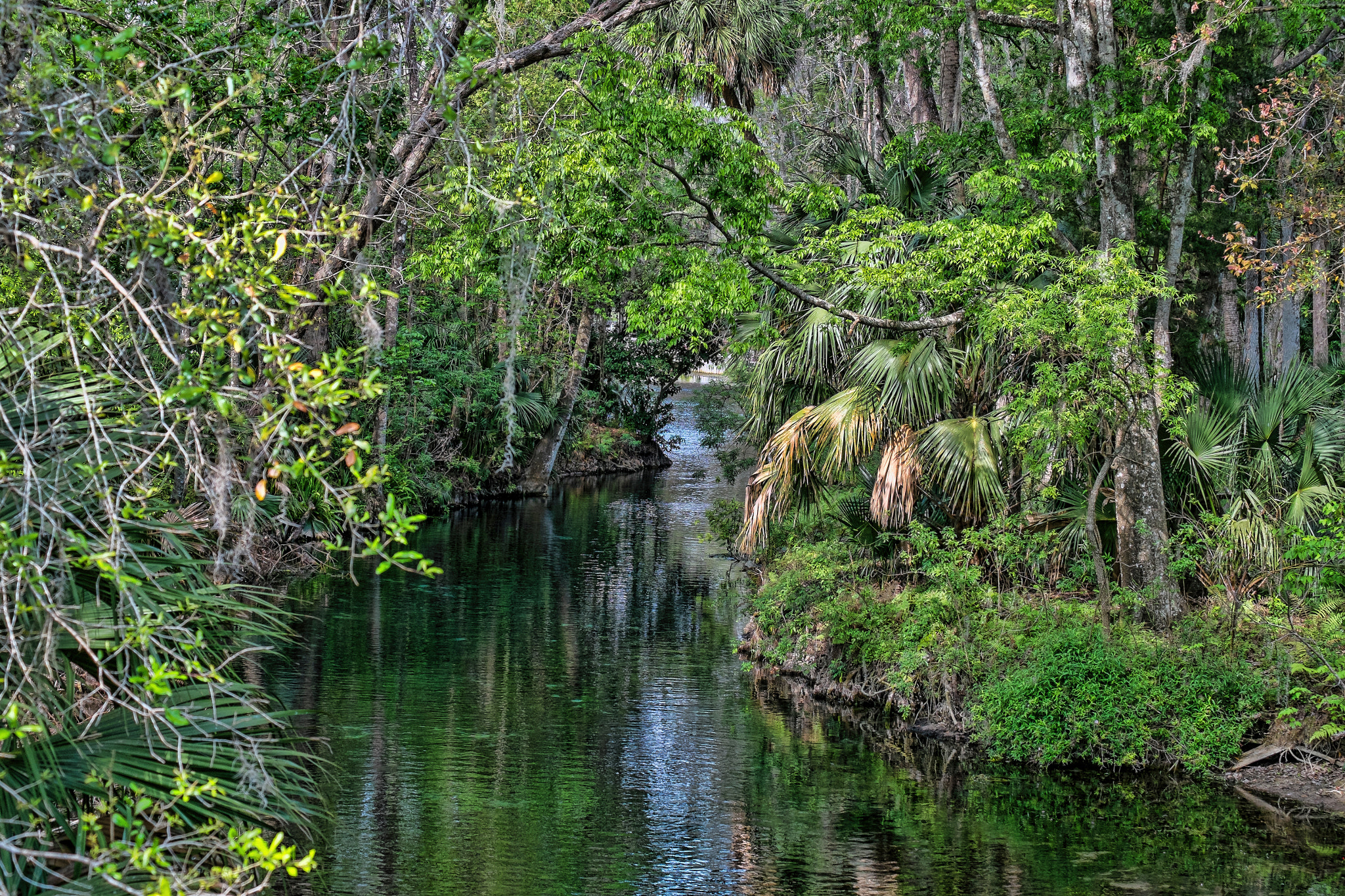 Fujifilm X-E1 + Fujifilm XF 55-200mm F3.5-4.8 R LM OIS sample photo. Silver springs florida kayak photography