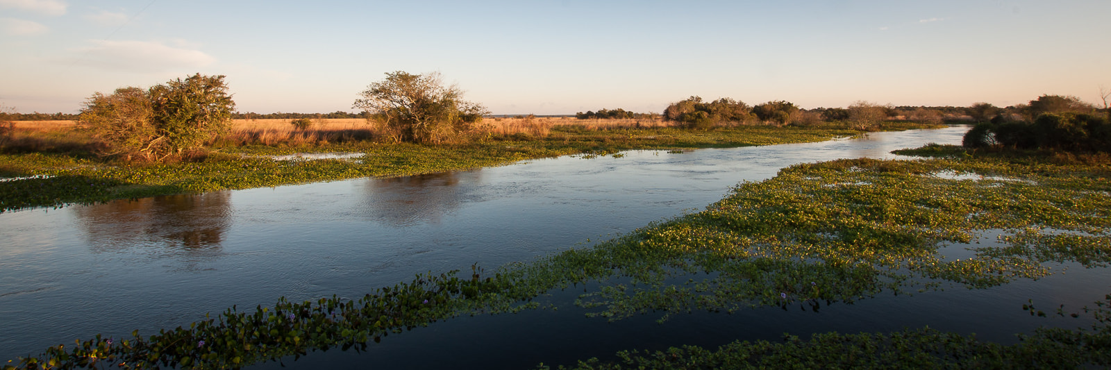 Nikon D90 + Sigma 10-20mm F3.5 EX DC HSM sample photo. Ibera sunrise photography