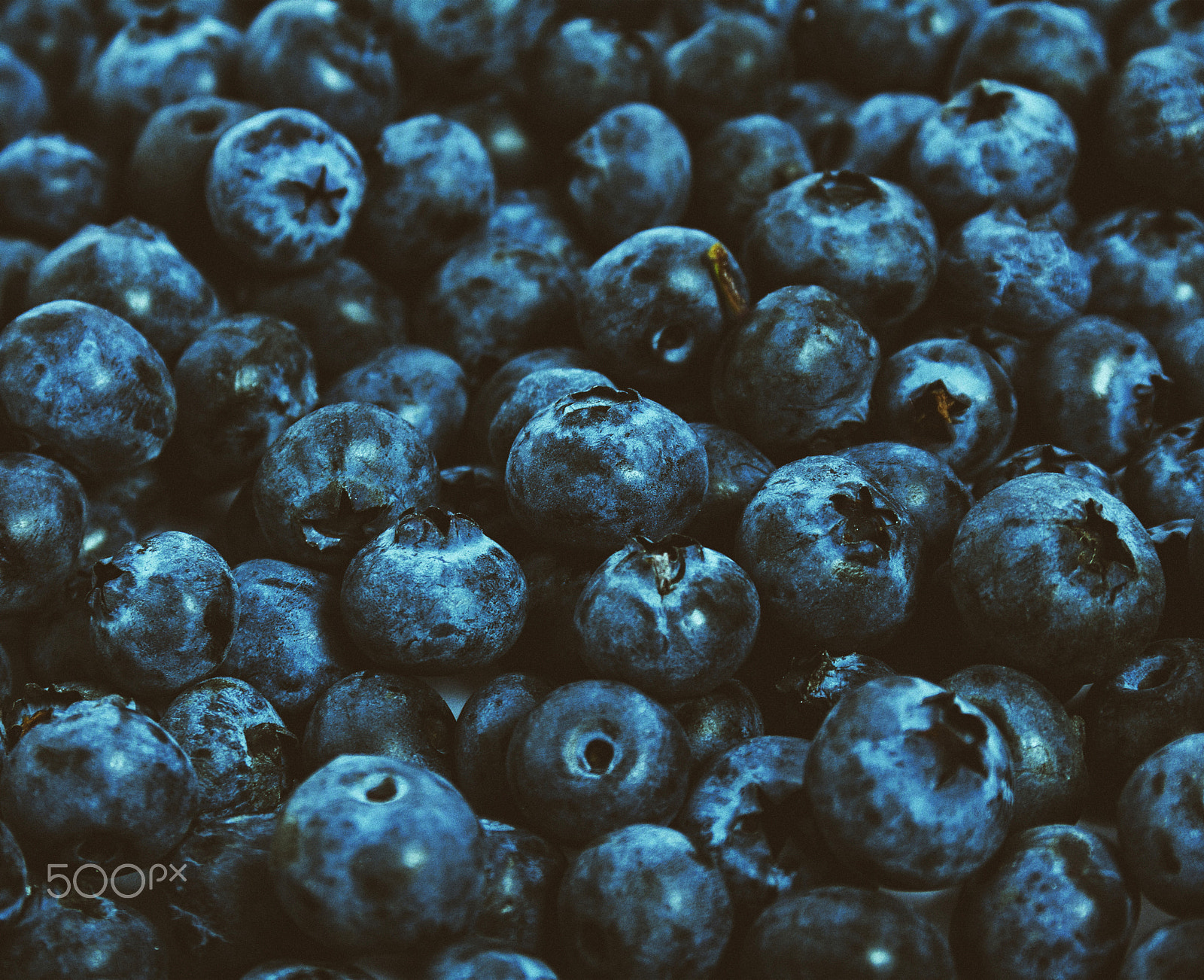 Canon EOS 60D sample photo. Blueberry closeup texture photography
