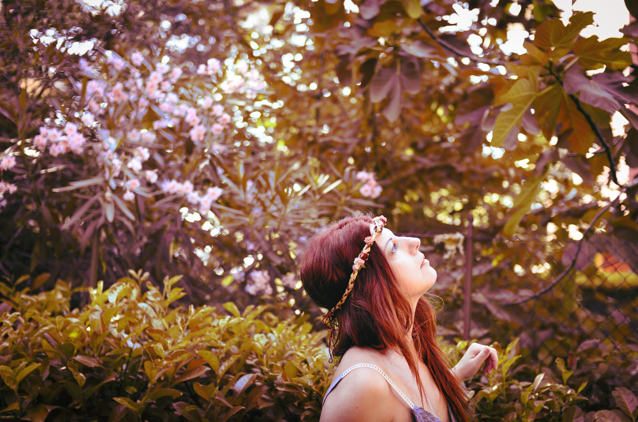 Nikon D7000 + Sigma 30mm F1.4 EX DC HSM sample photo. Autumn photography