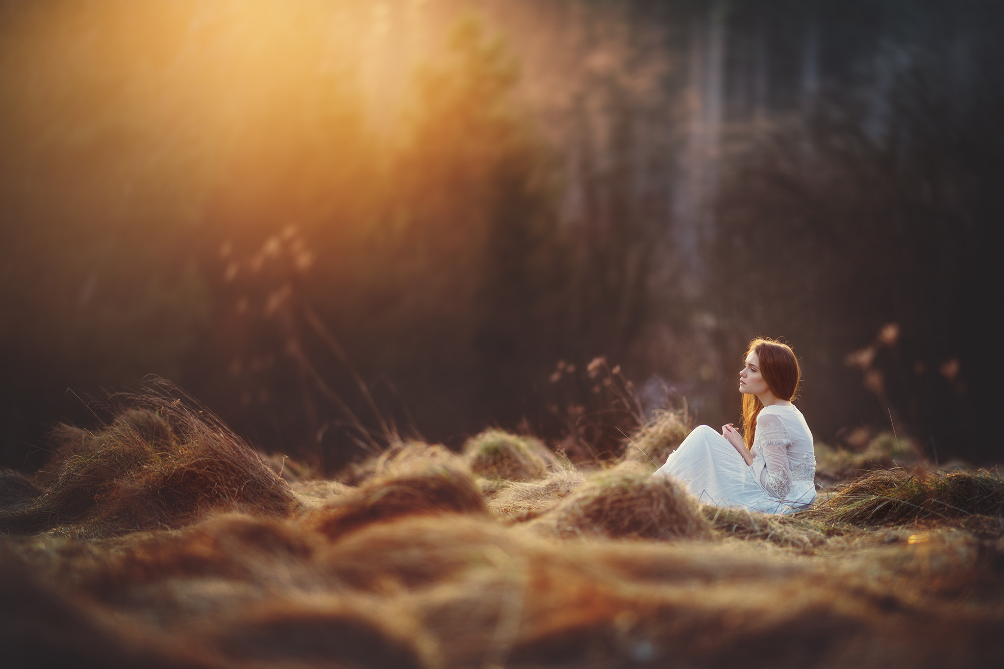 Sony Sonnar T* 135mm F1.8 ZA sample photo. Before the sun goes down photography