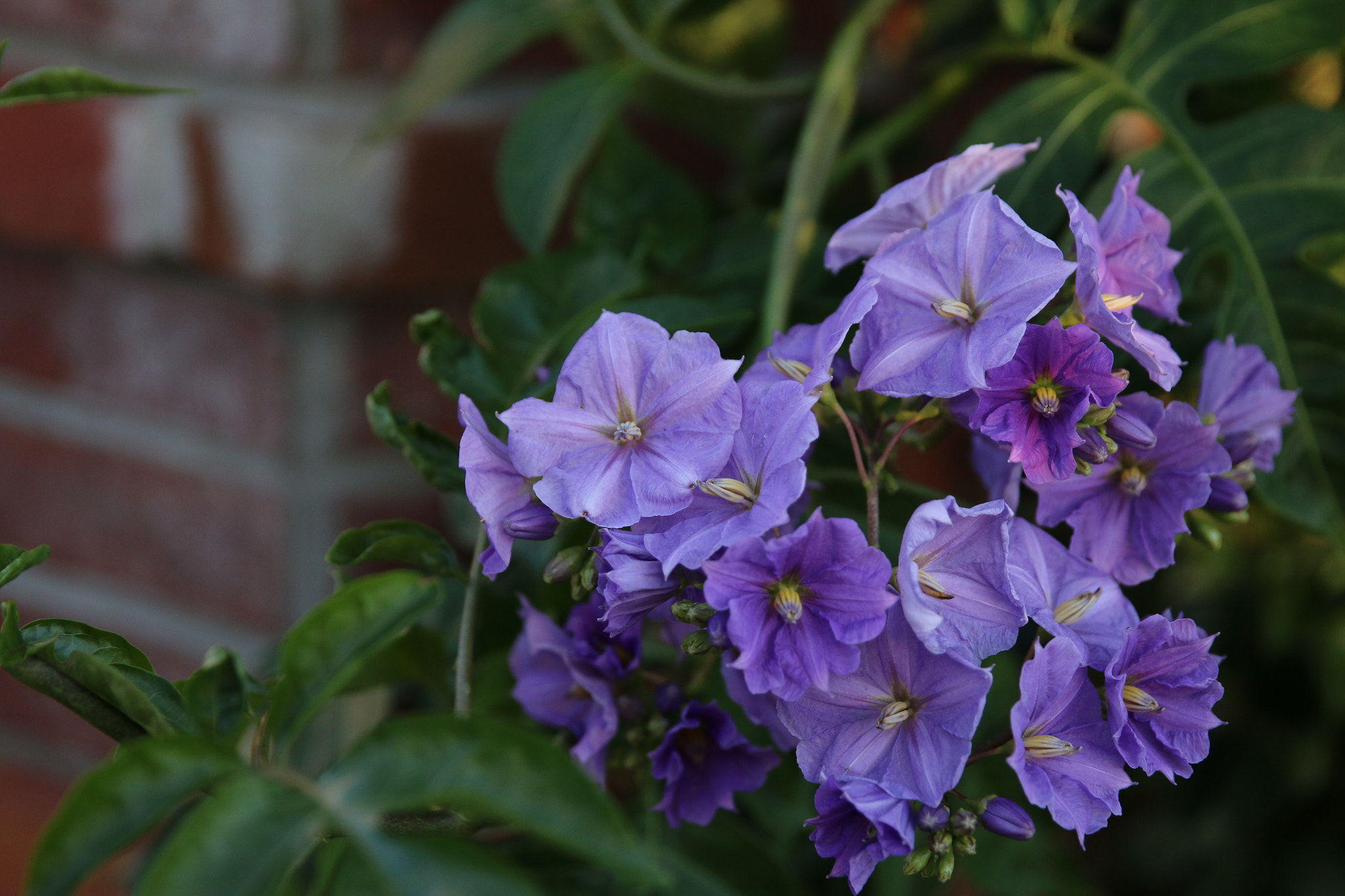 Canon EF 24-70mm F2.8L II USM sample photo. 32733710440.jpg photography