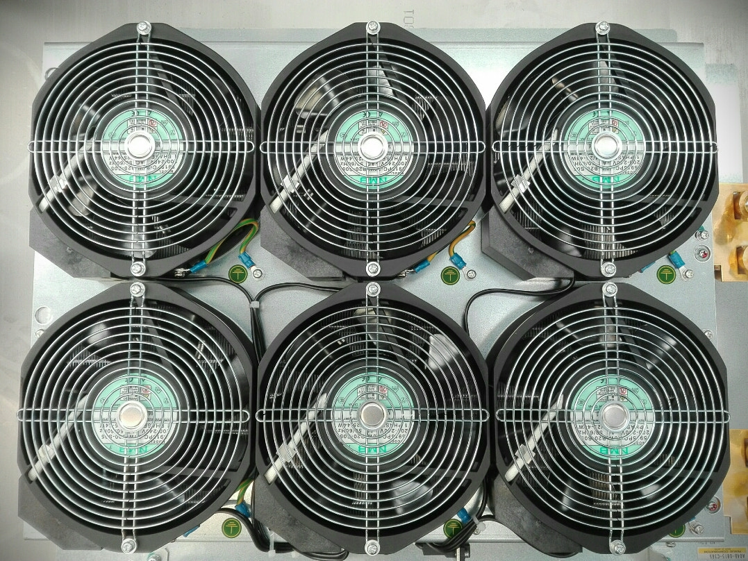 Fans