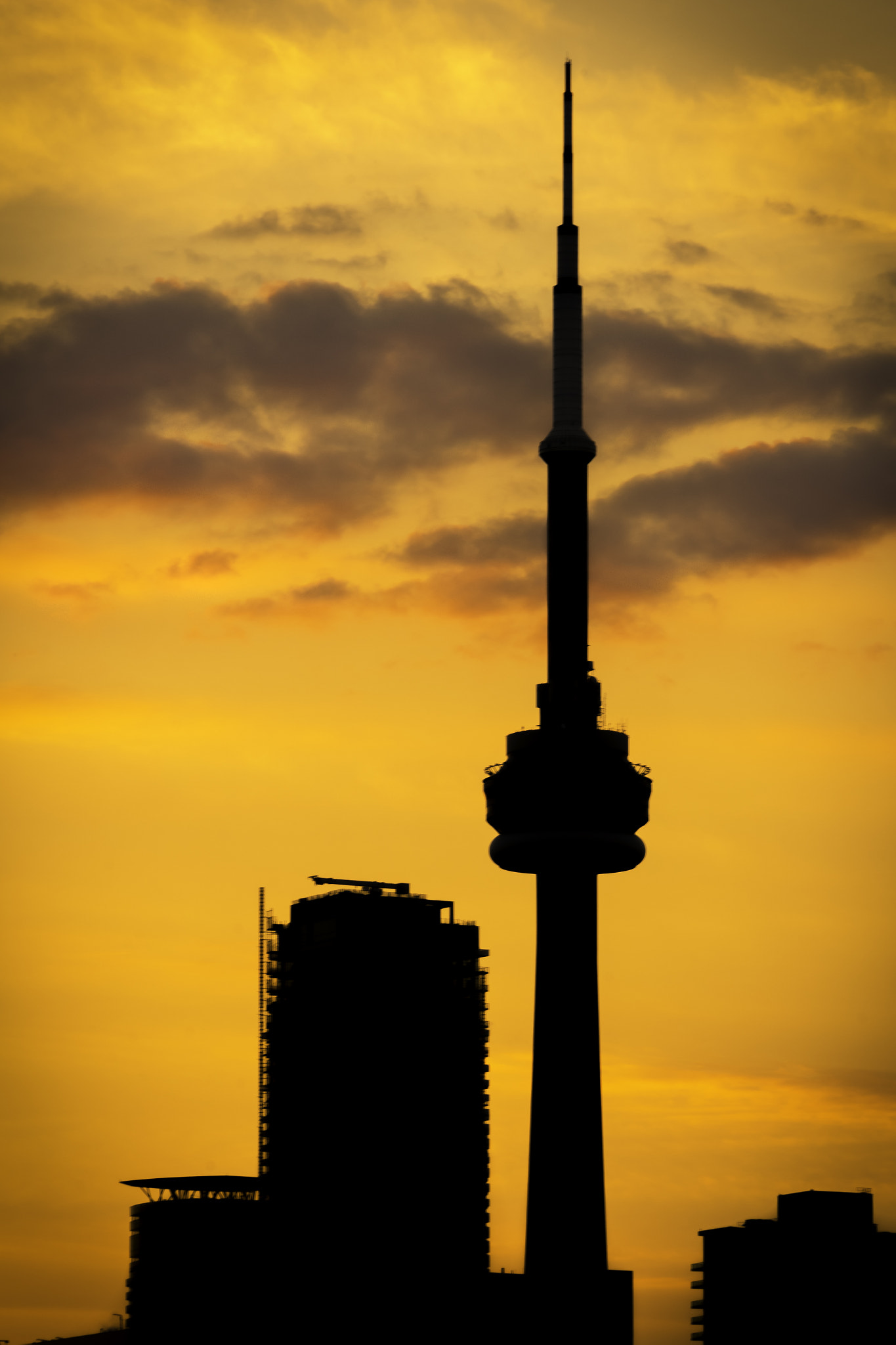 Canon EOS 100D (EOS Rebel SL1 / EOS Kiss X7) + Sigma 18-250mm F3.5-6.3 DC OS HSM sample photo. Silhouette cn tower photography