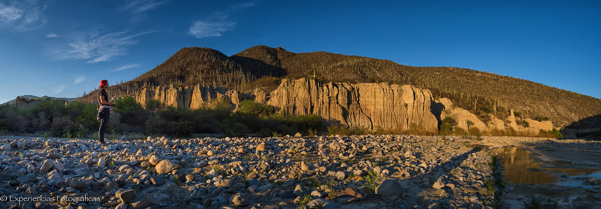 Nikon D4 sample photo. Sunrise in the cactus land photography