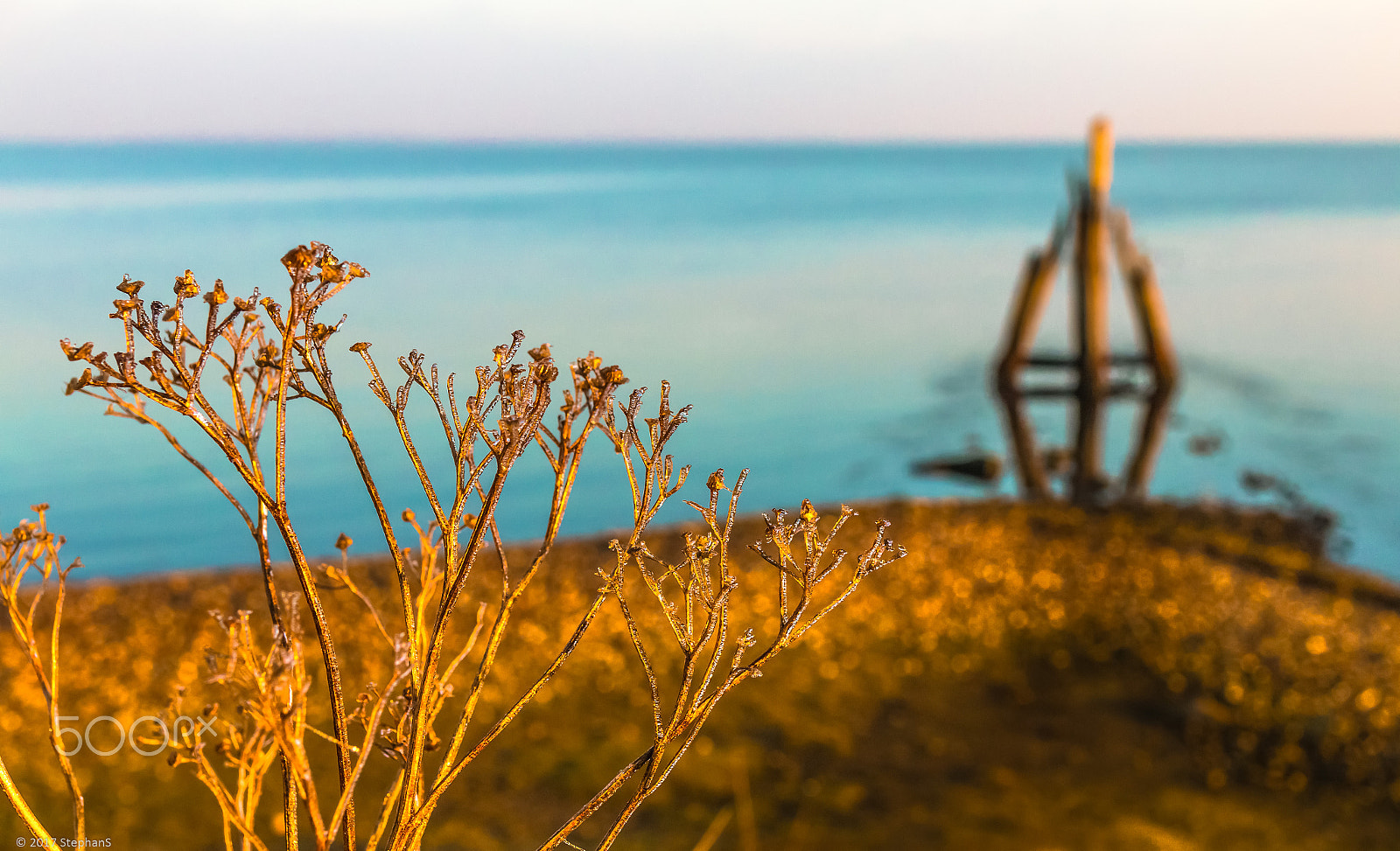 Canon EOS 70D + Sigma 35mm F1.4 DG HSM Art sample photo. Frozen morning ii photography