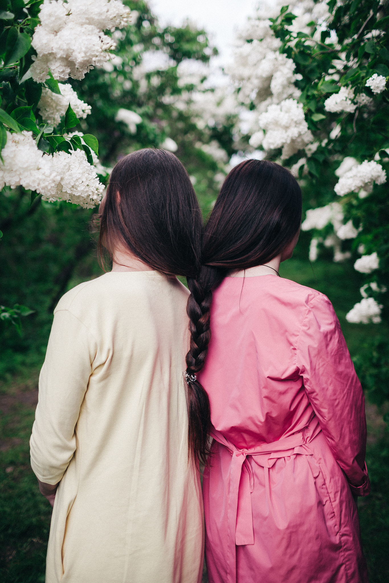 Canon EF 35mm F1.4L USM sample photo. Follow the spring photography