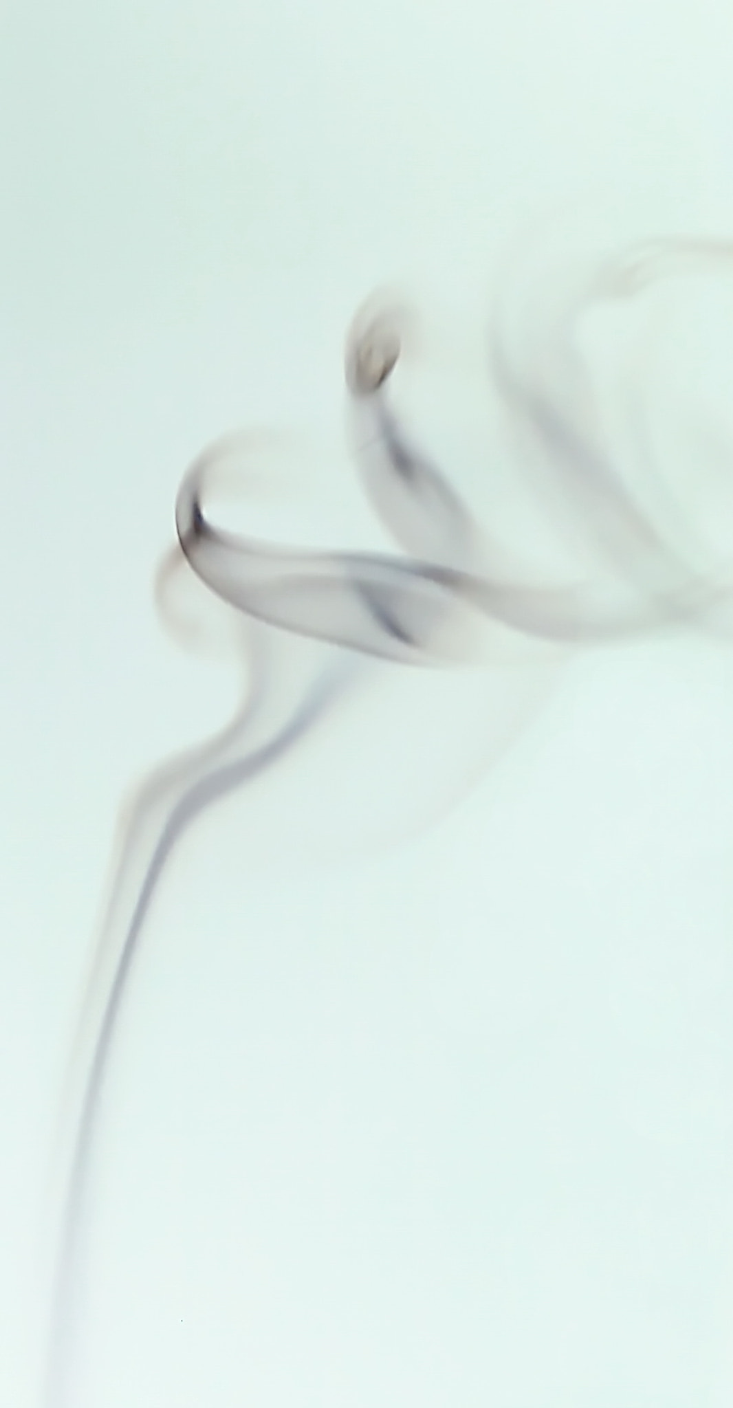 Canon EF 35-80mm f/4-5.6 sample photo. Smoke photography