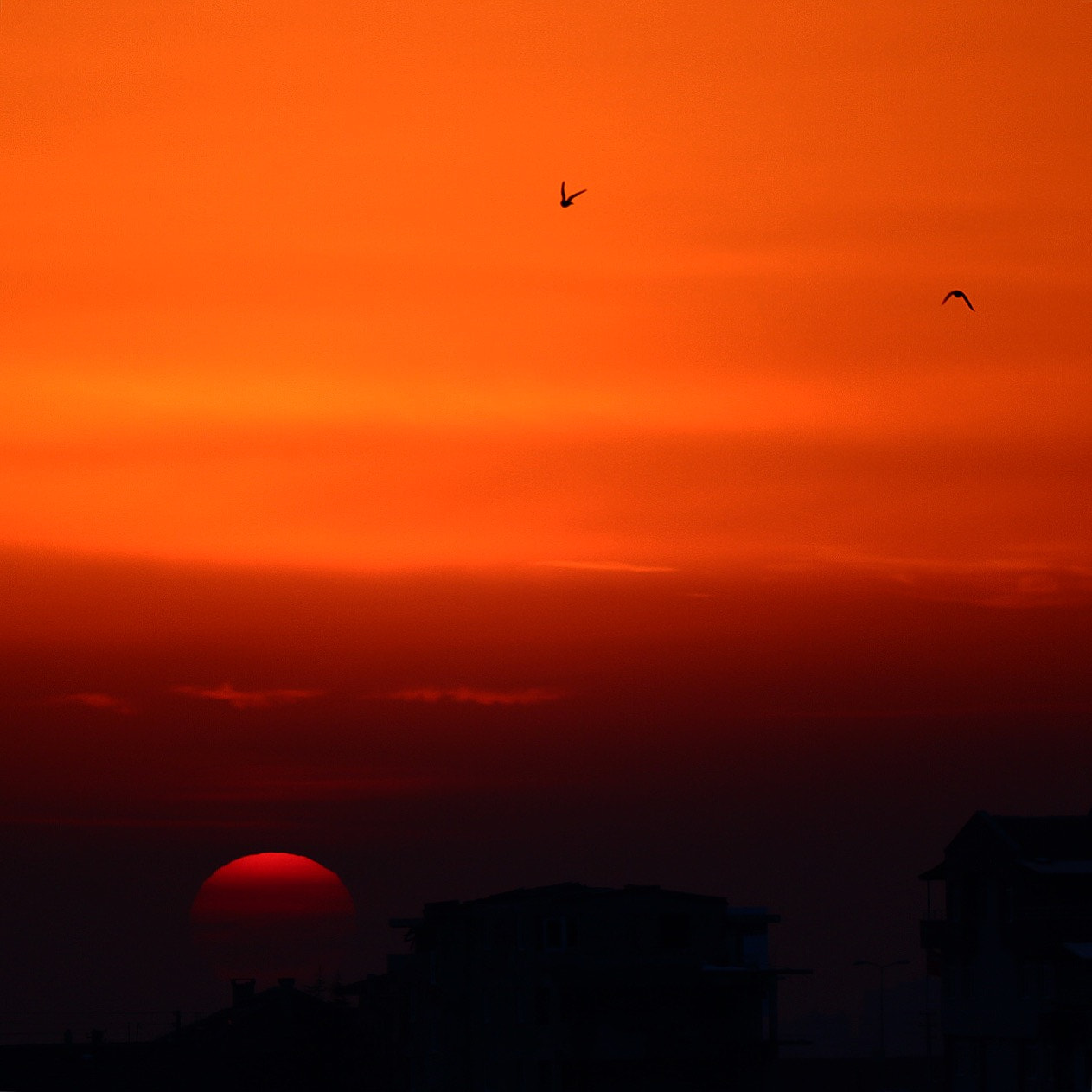 Canon EF-S 55-250mm F4-5.6 IS II sample photo. Colors of sun photography