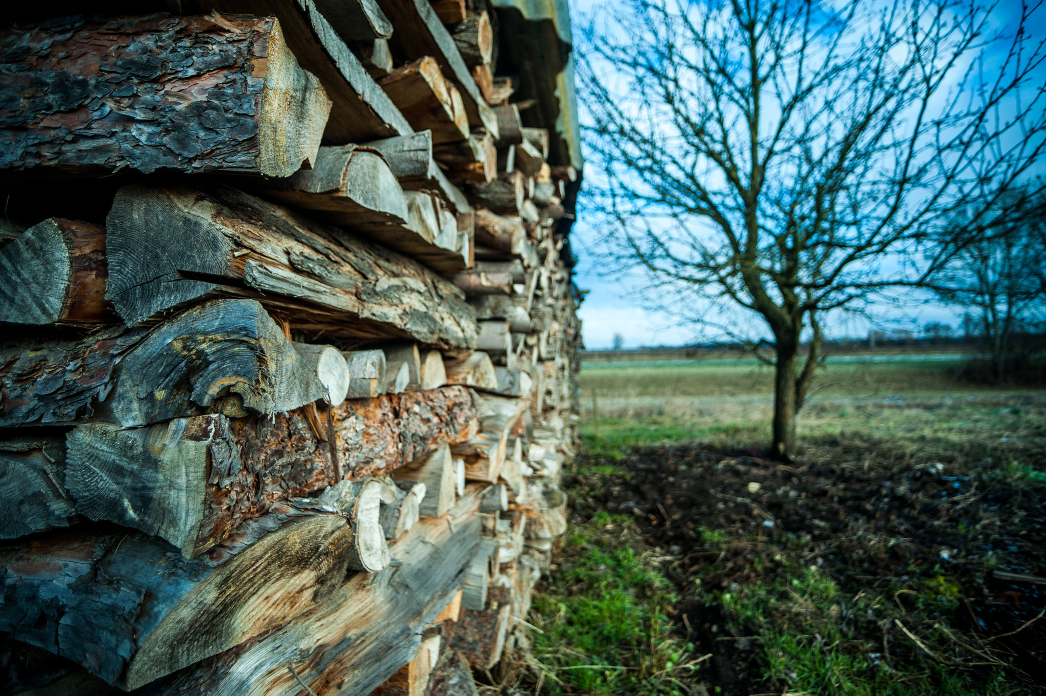 Nikon D700 + Sigma 18-35mm F3.5-4.5 Aspherical sample photo. Wood photography