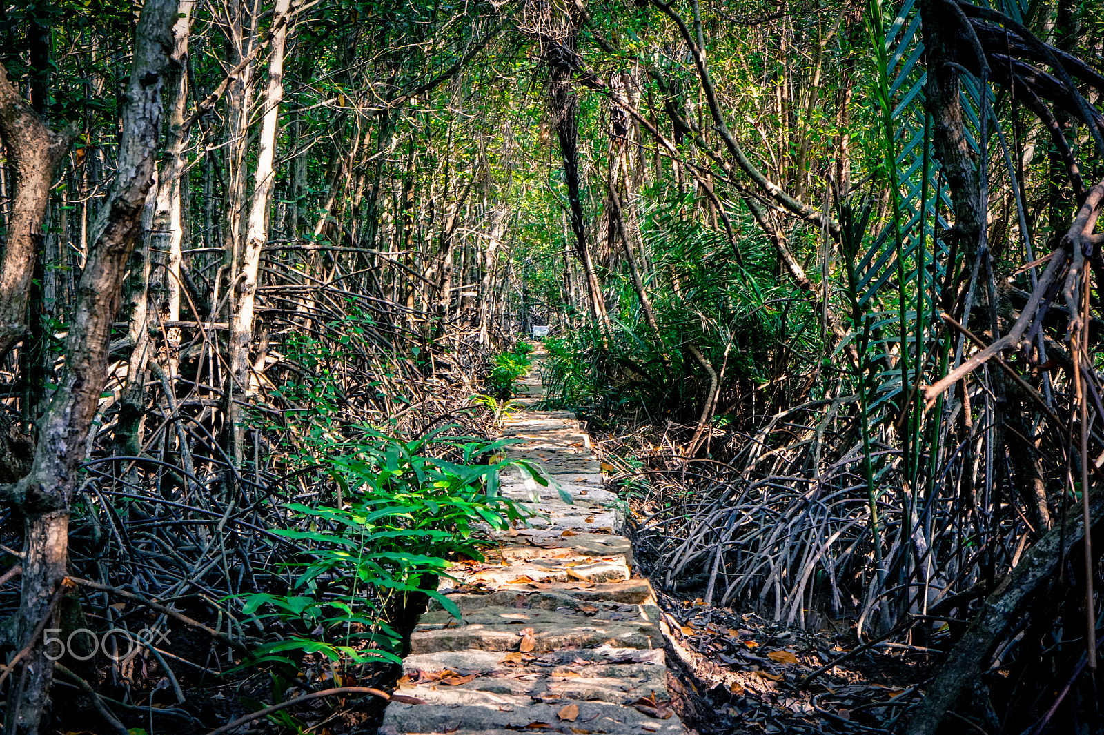 Sony a6300 + E 50mm F1.8 OSS sample photo. Old road photography