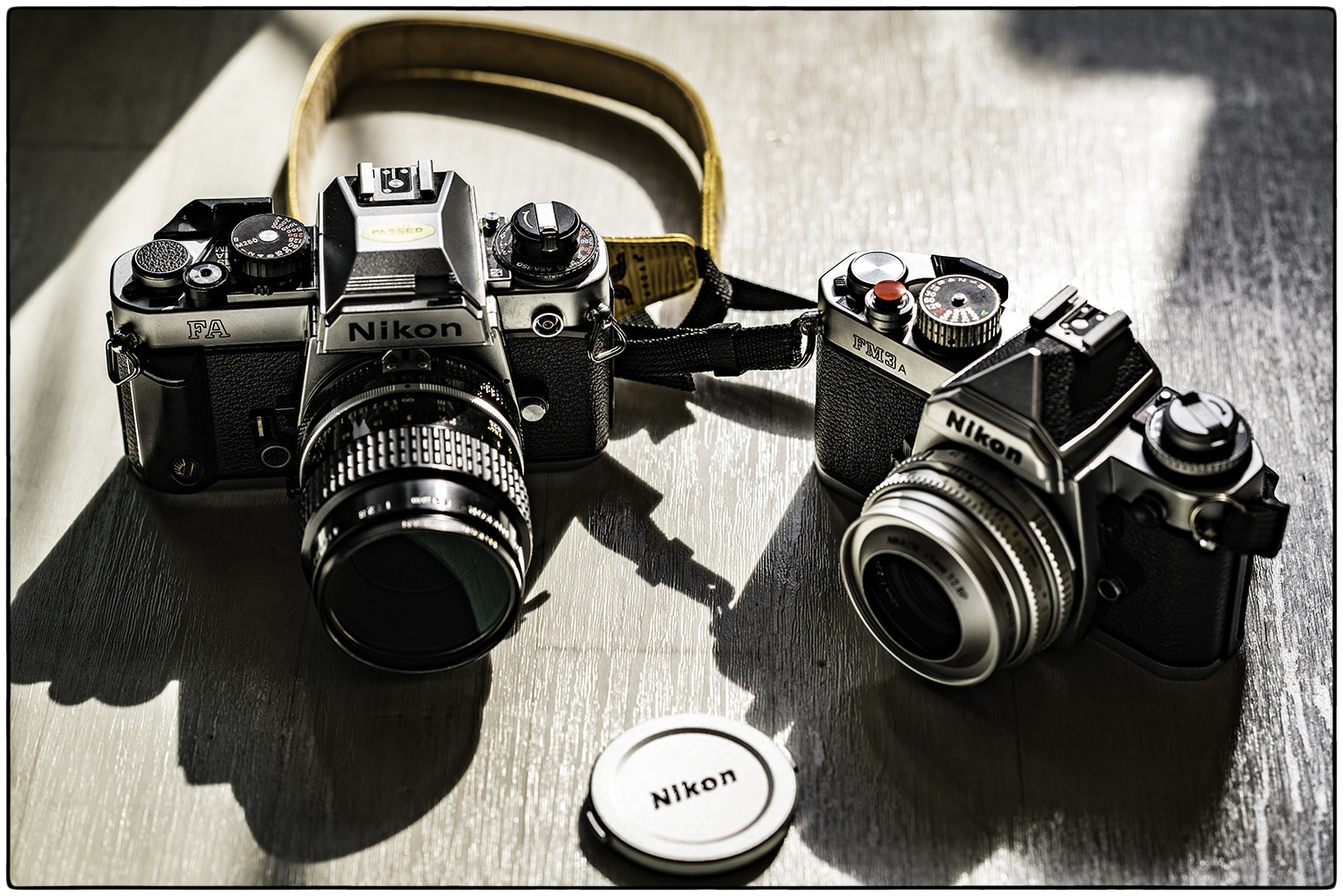 Sony FE 85mm F1.4 GM sample photo. Nikon photography