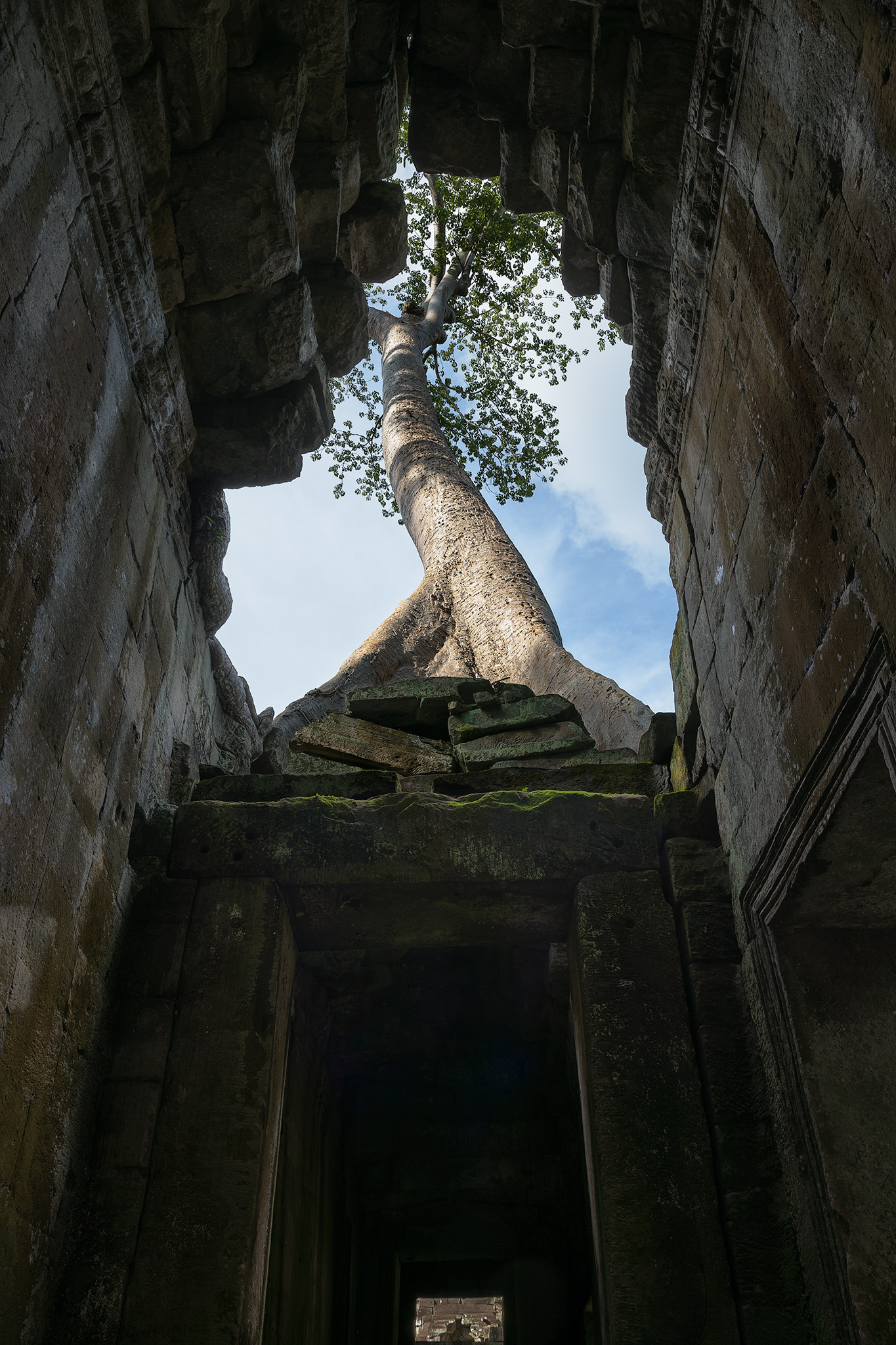 Sigma 18-35mm F1.8 DC HSM Art sample photo. Grow photography