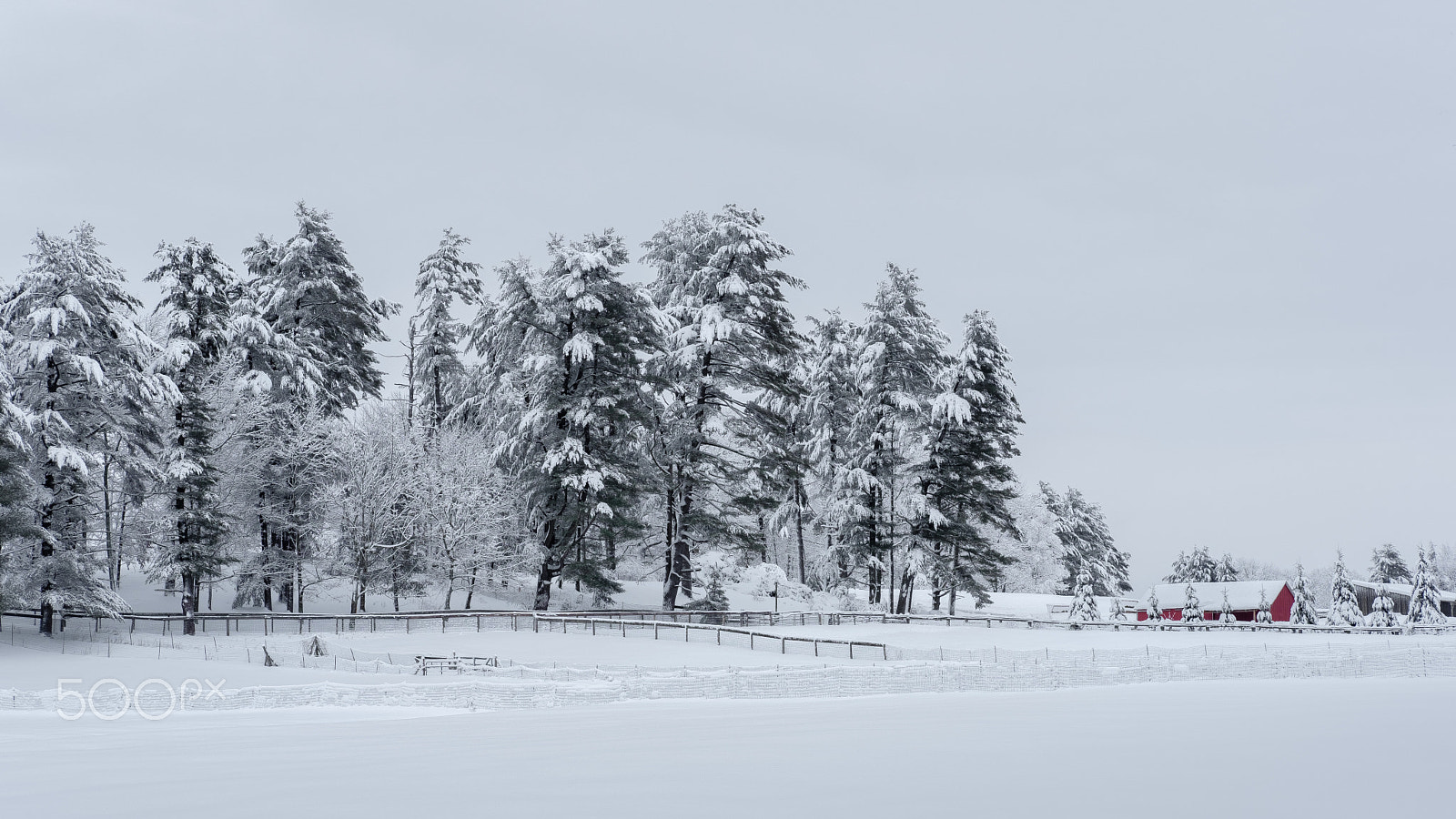 Fujifilm X-Pro2 + Fujifilm XF 35mm F2 R WR sample photo. Red... photography