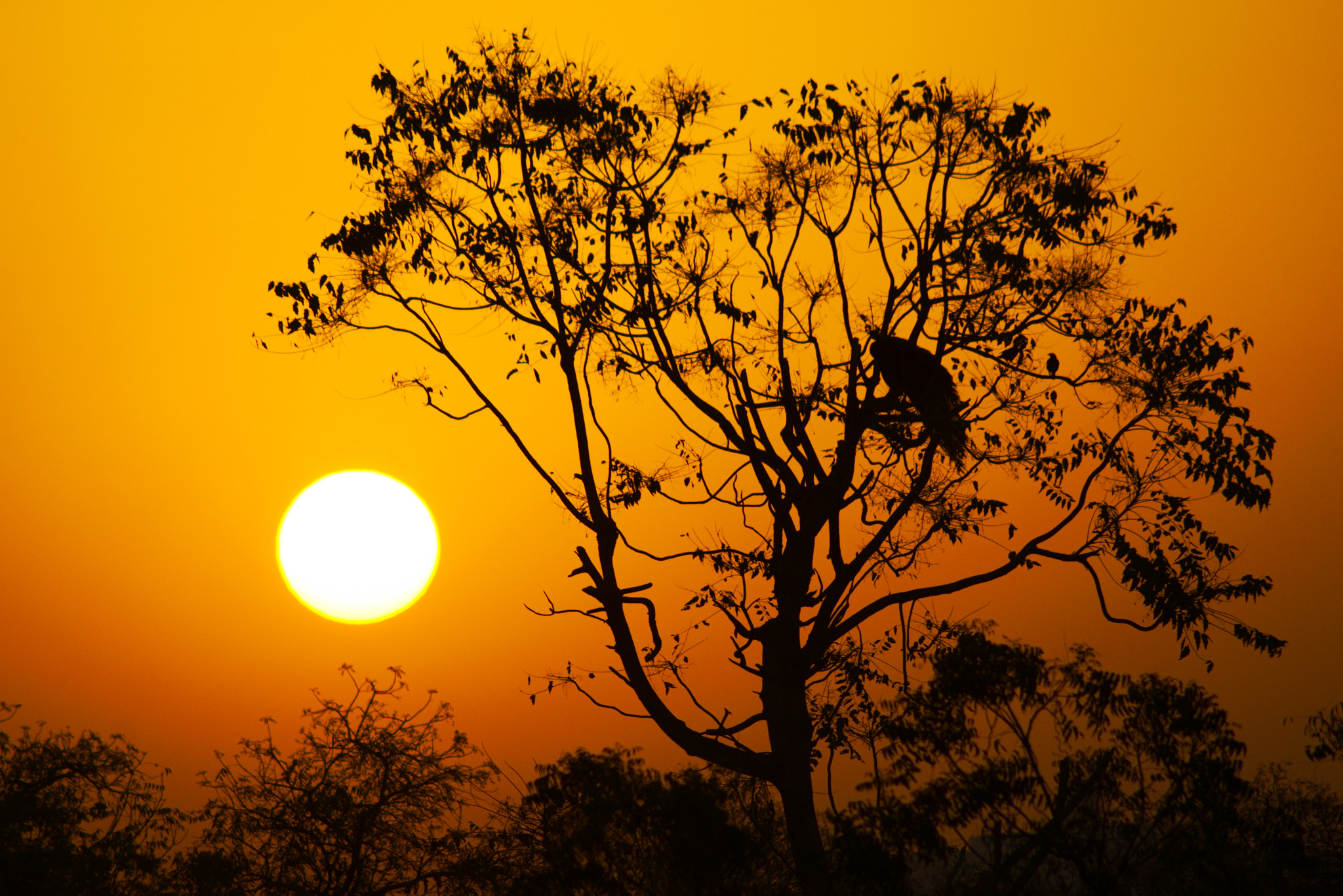 Nikon AF Nikkor 70-300mm F4-5.6G sample photo. Sunrise photography