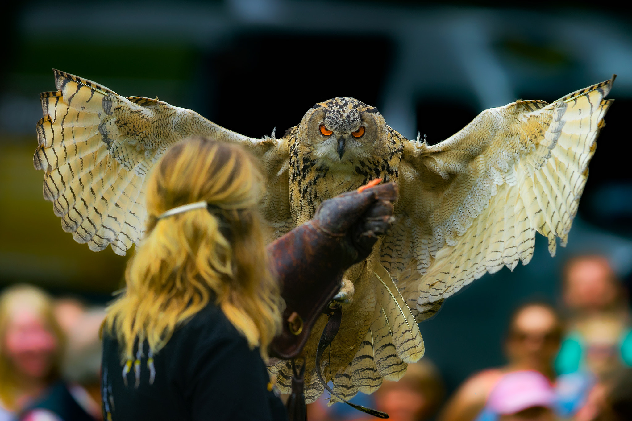 Canon EF 400mm F2.8L IS II USM sample photo. Accurate approach.... photography