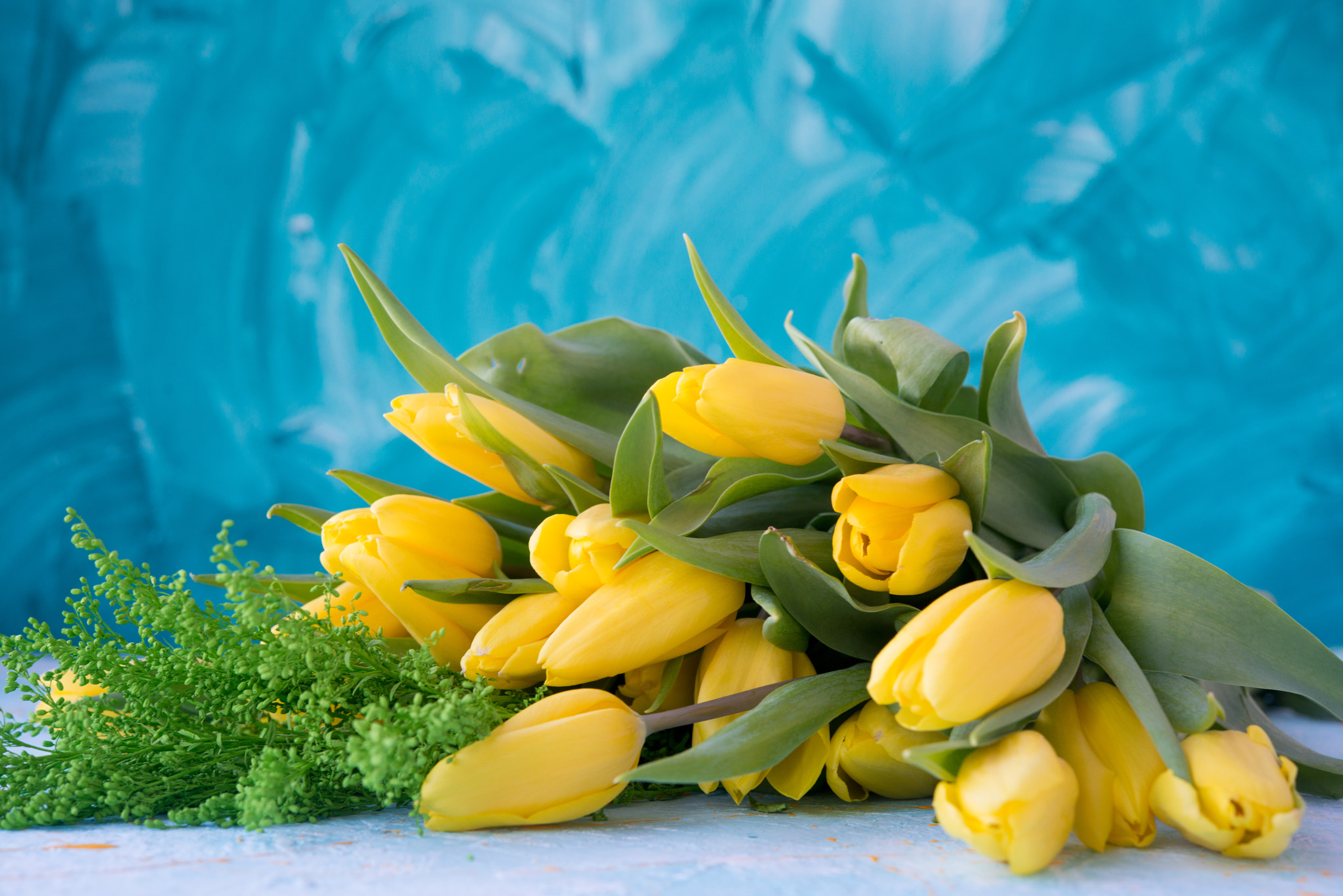 Nikon AF-S Micro-Nikkor 60mm F2.8G ED sample photo. Spring tulips photography