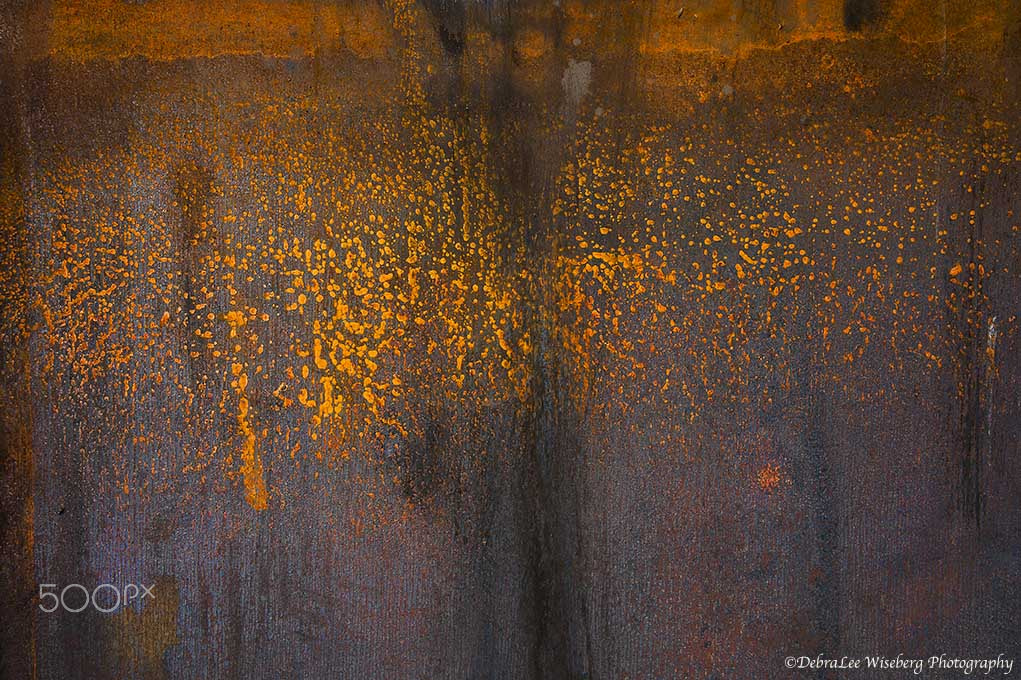 Nikon AF-S Nikkor 24-120mm F4G ED VR sample photo. Where is the love photography
