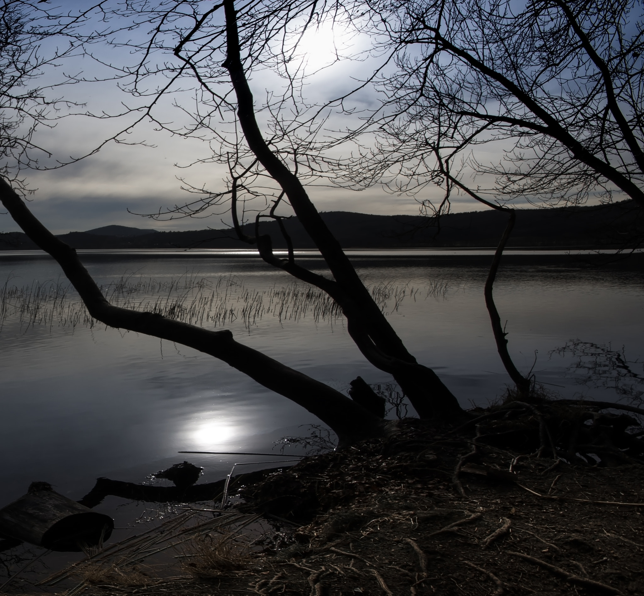 Pentax K-5 sample photo. Laach lake ii photography