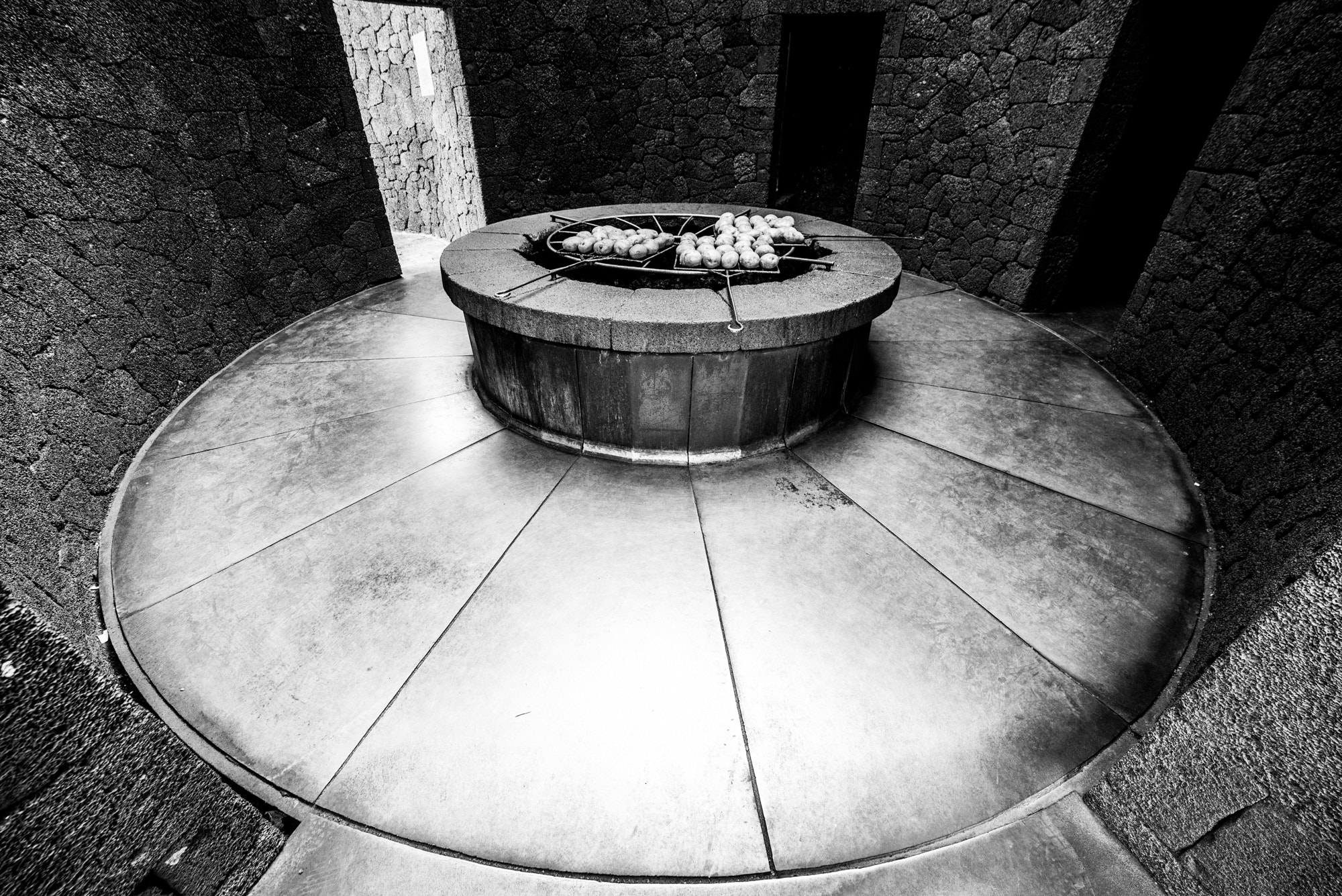 Samyang 14mm F2.8 ED AS IF UMC sample photo. Alien lunch photography