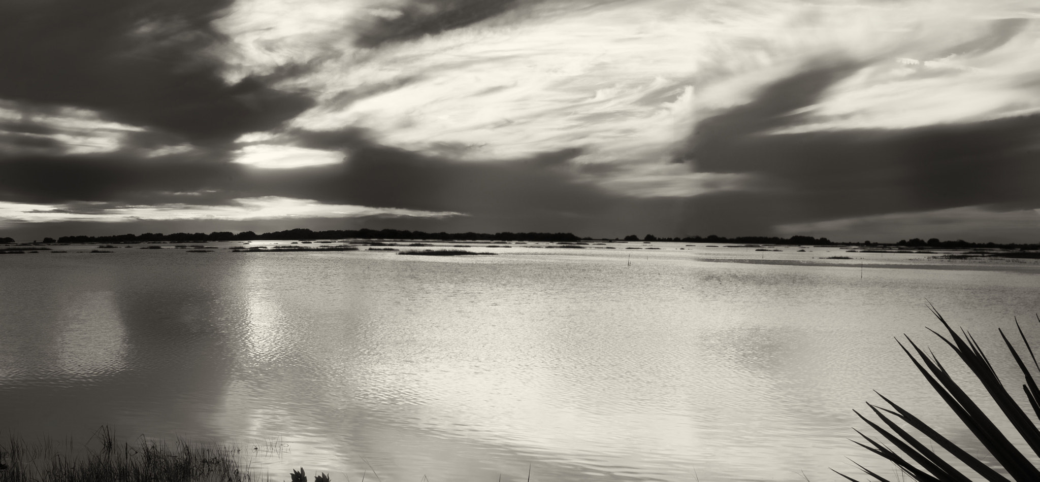 Fujifilm X-E1 + Fujifilm XF 55-200mm F3.5-4.8 R LM OIS sample photo. Cedar key florida sunset bw photography