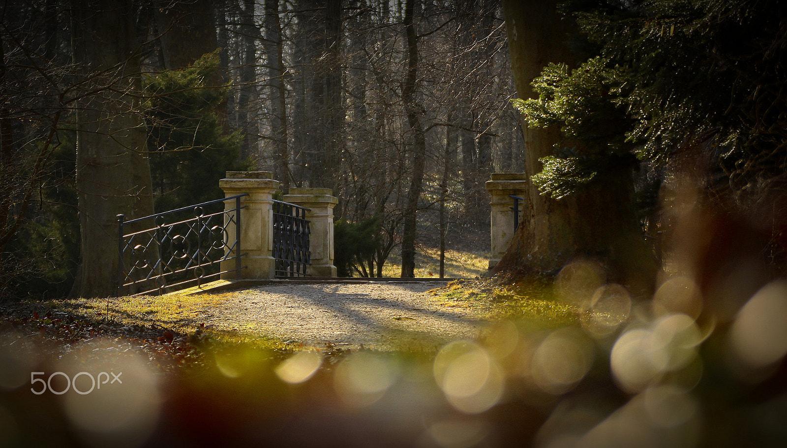 Canon EOS 50D sample photo. Silence photography