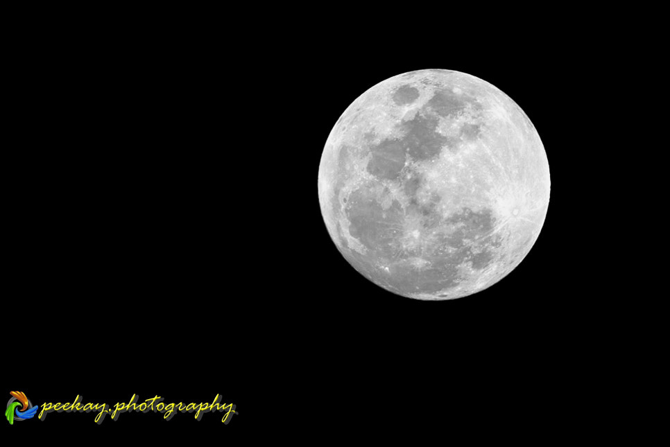 Nikon AF-S Nikkor 300mm F2.8G ED VR II sample photo
