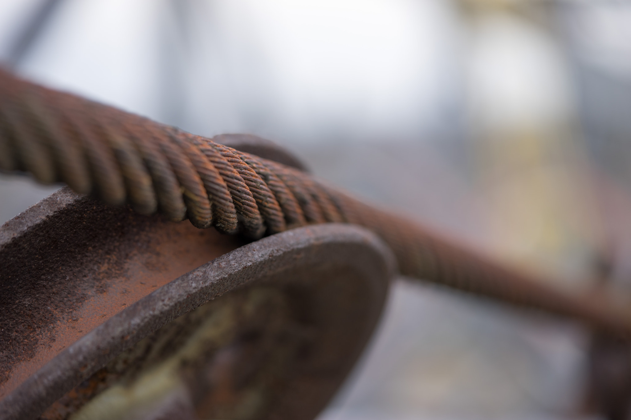 Sony a7 II + Sony FE 90mm F2.8 Macro G OSS sample photo. Rolle photography