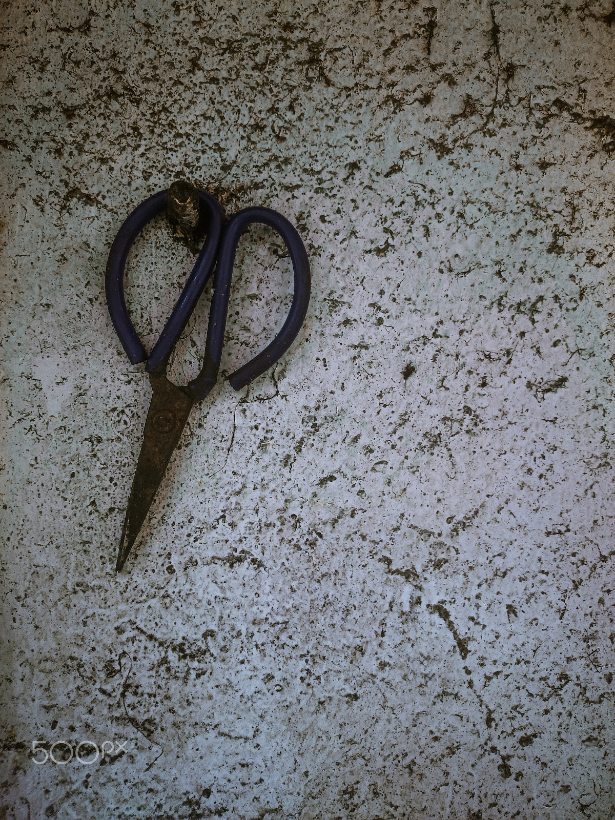 Sony Xperia Z1 Compact sample photo. Scissors photography
