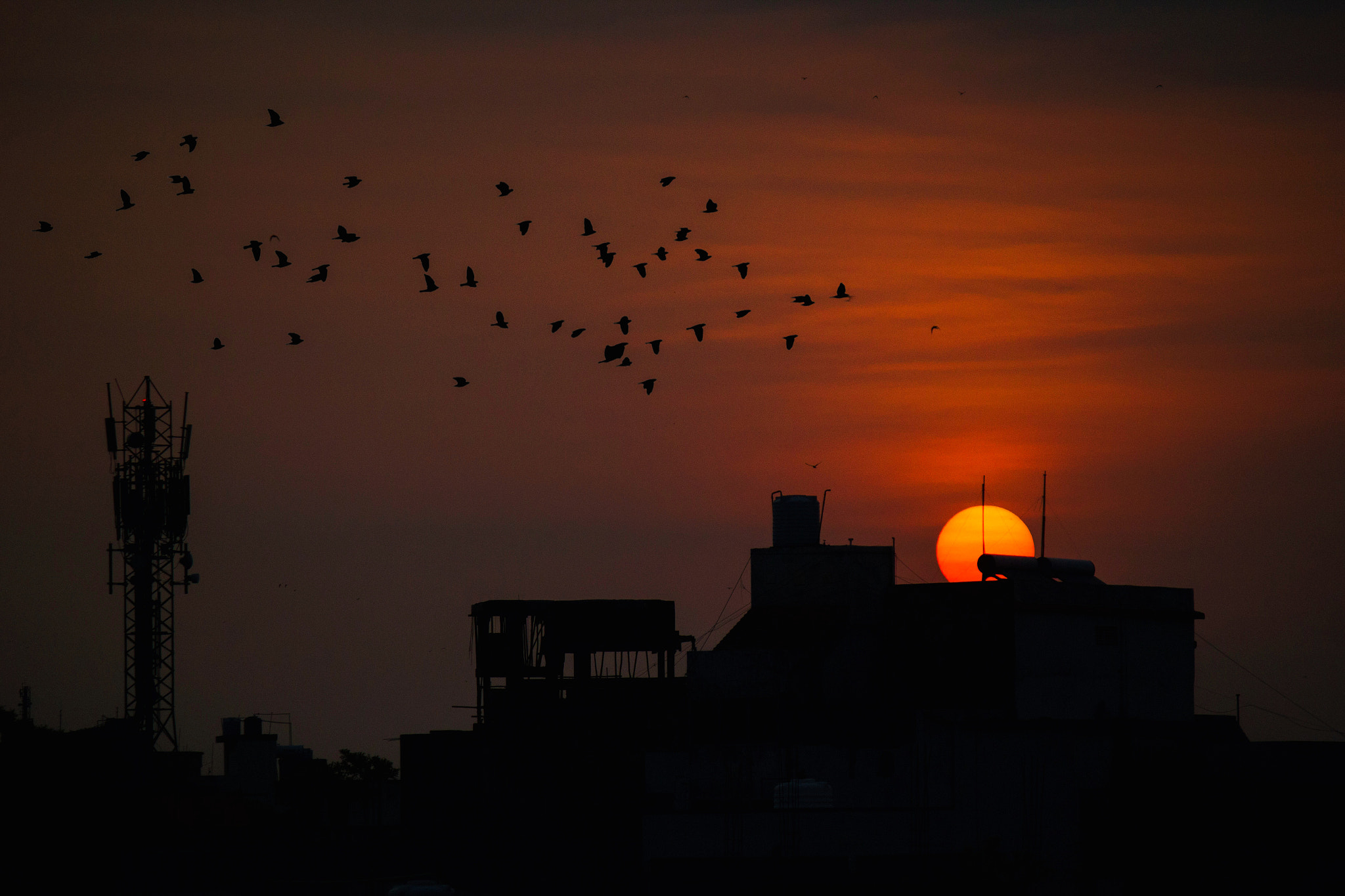 Canon EOS 550D (EOS Rebel T2i / EOS Kiss X4) sample photo. The beauty called sunrise photography