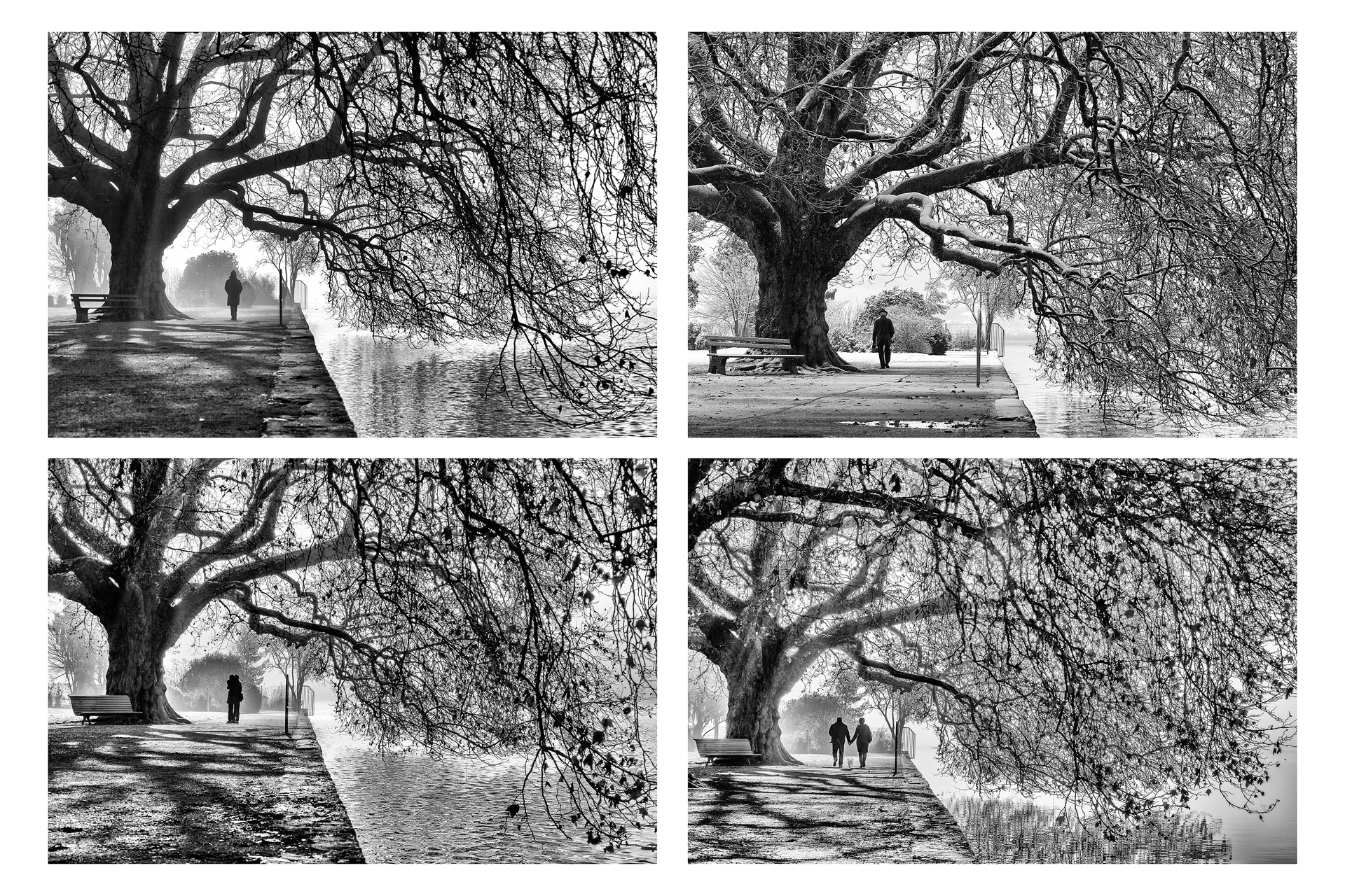 Eric Monvoisin (EricMonvoisin) Photos / 500px