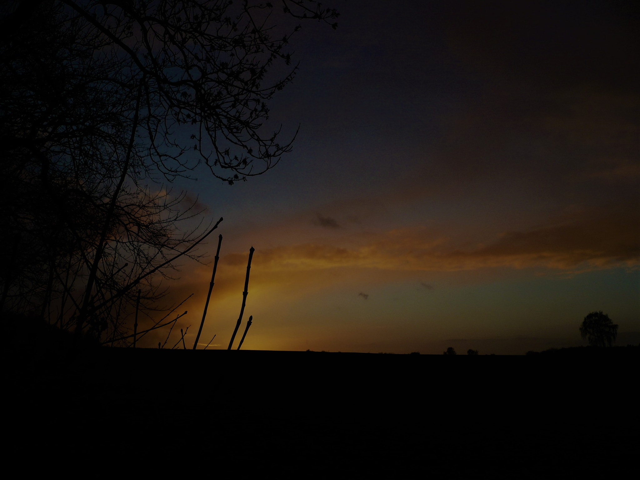 Panasonic DMC-FX12 sample photo. Dark sunset photography