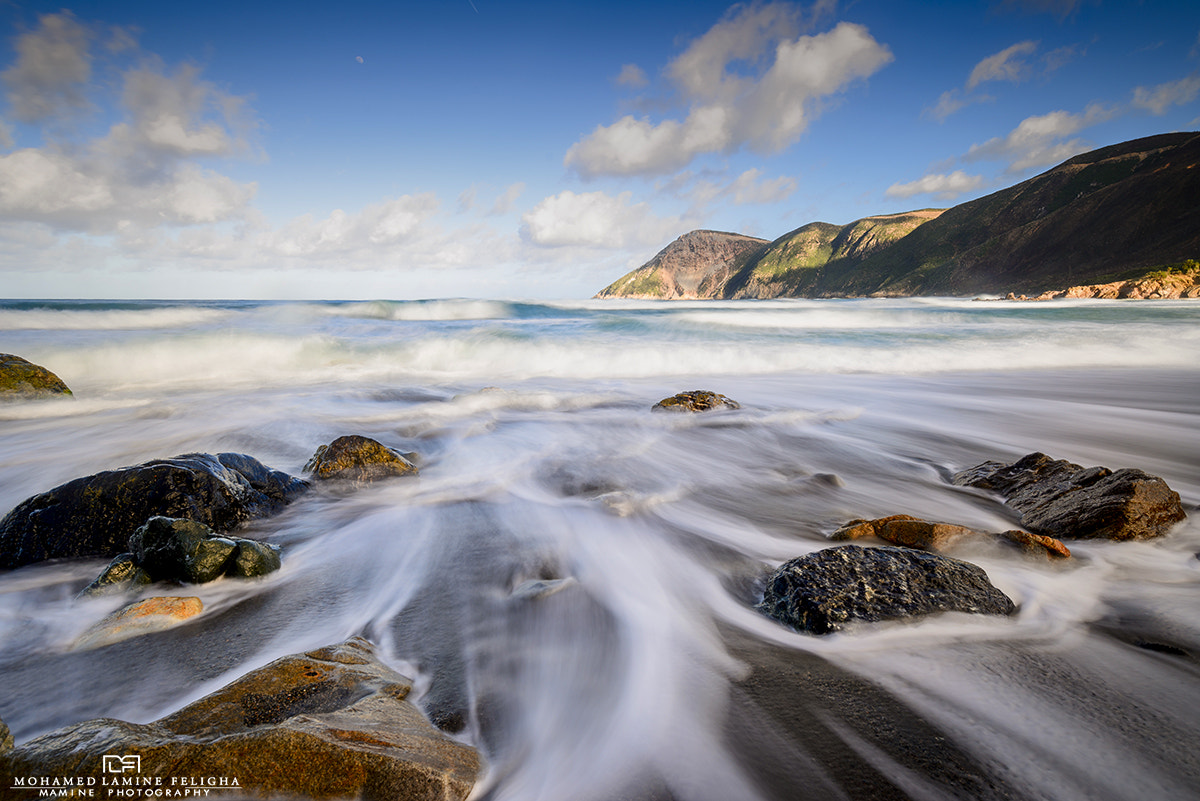 Nikon AF-S Nikkor 18-35mm F3.5-4.5G ED sample photo. ☺ photography