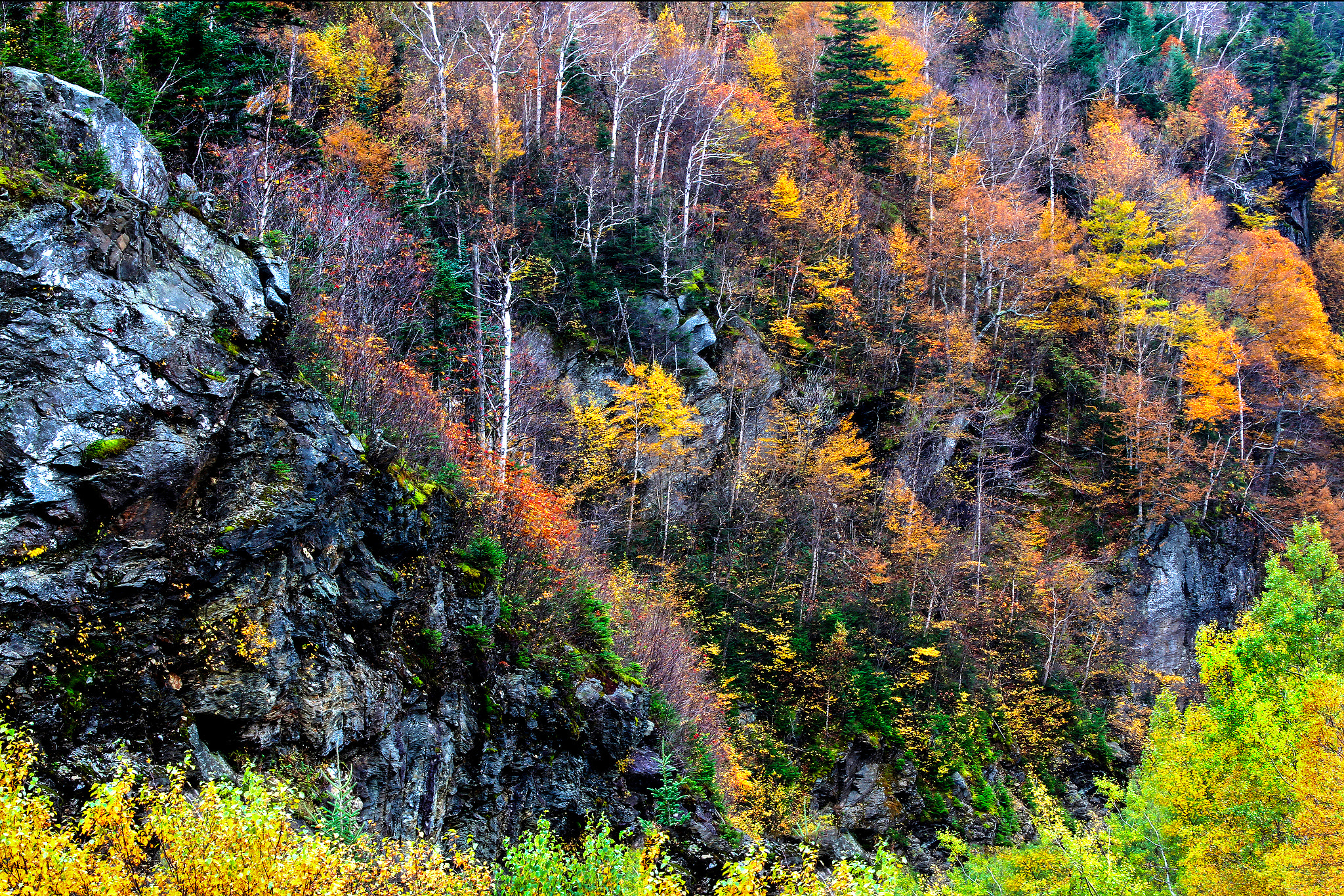 Canon EF 28-200mm F3.5-5.6 USM sample photo. Hillside photography