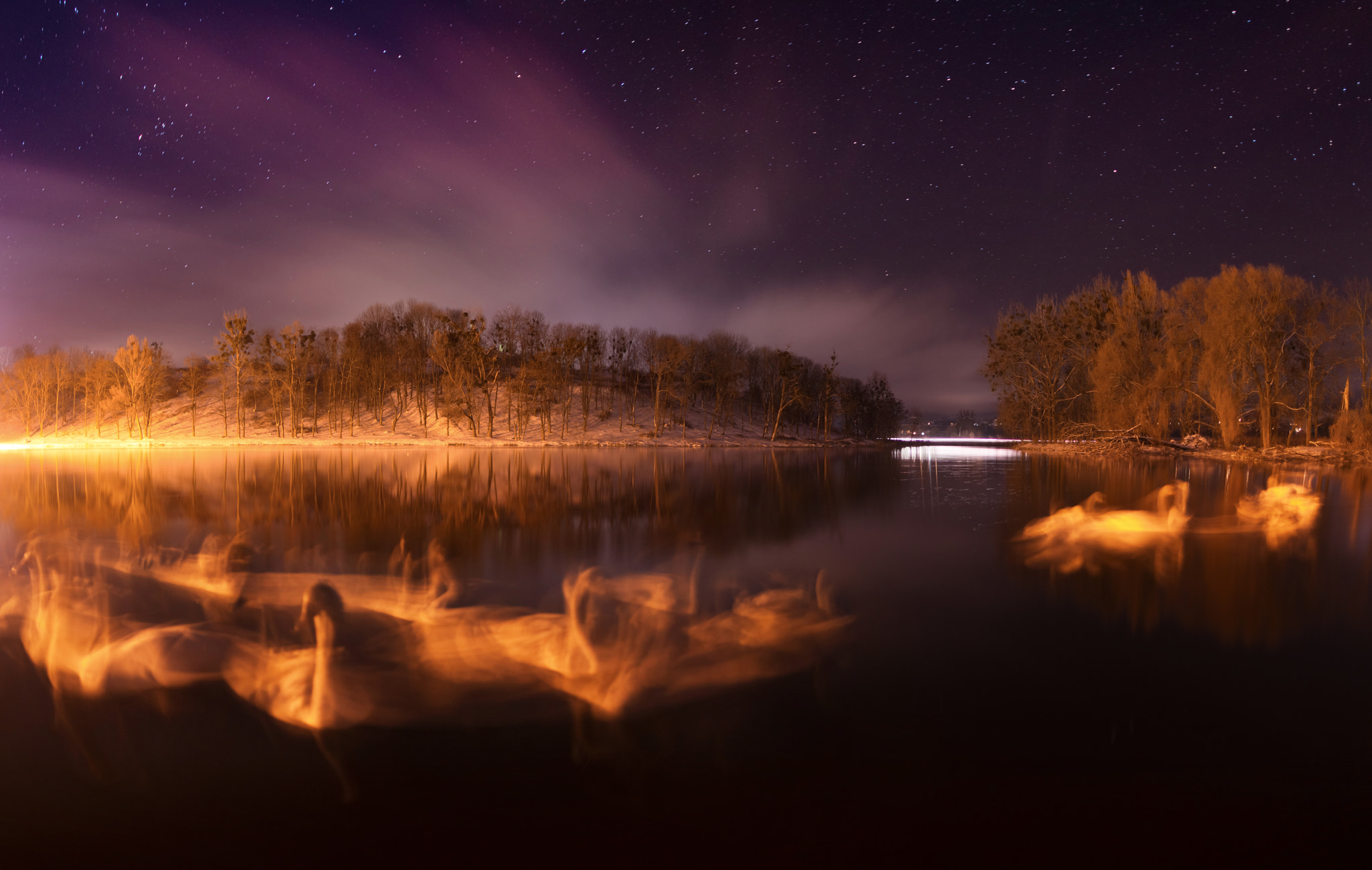 Canon EF 24mm F1.4L II USM sample photo. Swans on the lake. long exposure. winter photography