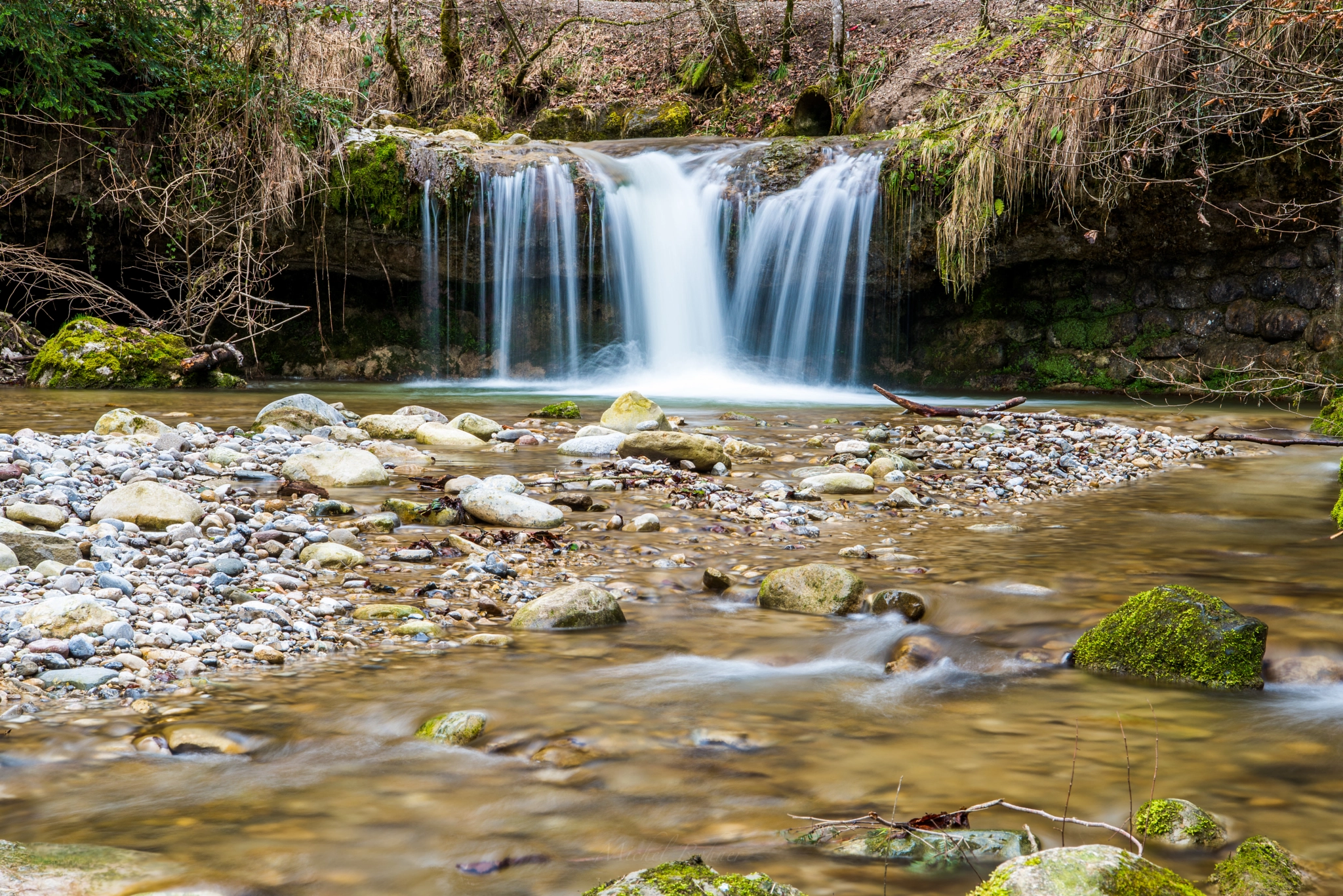 Nikon D800 sample photo. Forest falling photography