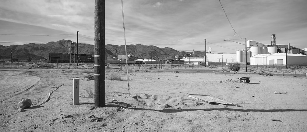 Sigma dp0 Quattro sample photo. Plant, train tracks photography