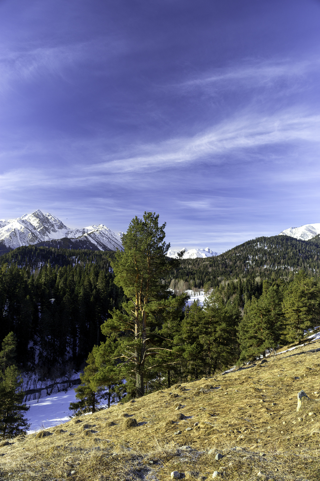 Canon EF 24mm F1.4L II USM sample photo. Img photography