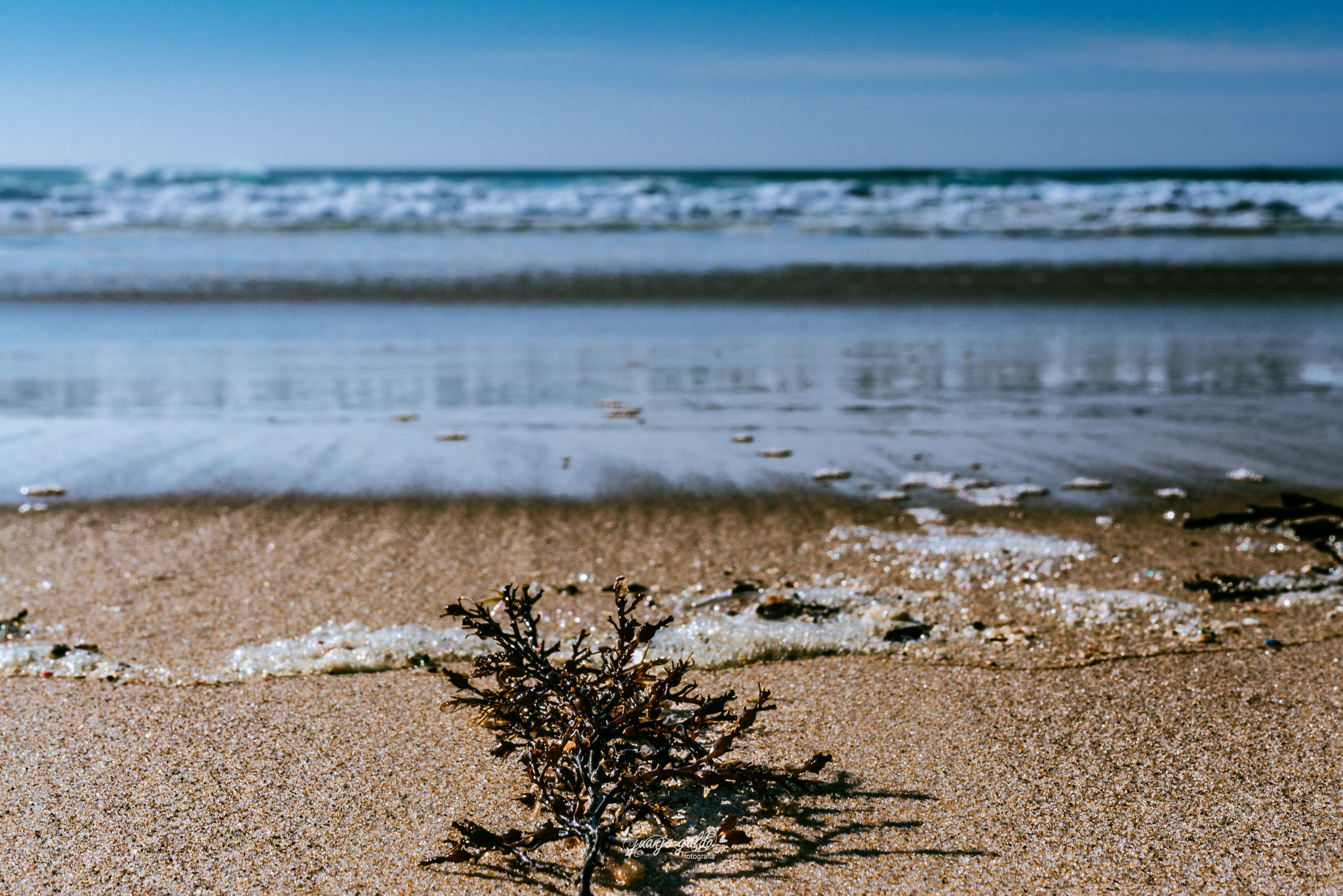 Nikon D7100 + Sigma 35mm F1.4 DG HSM Art sample photo