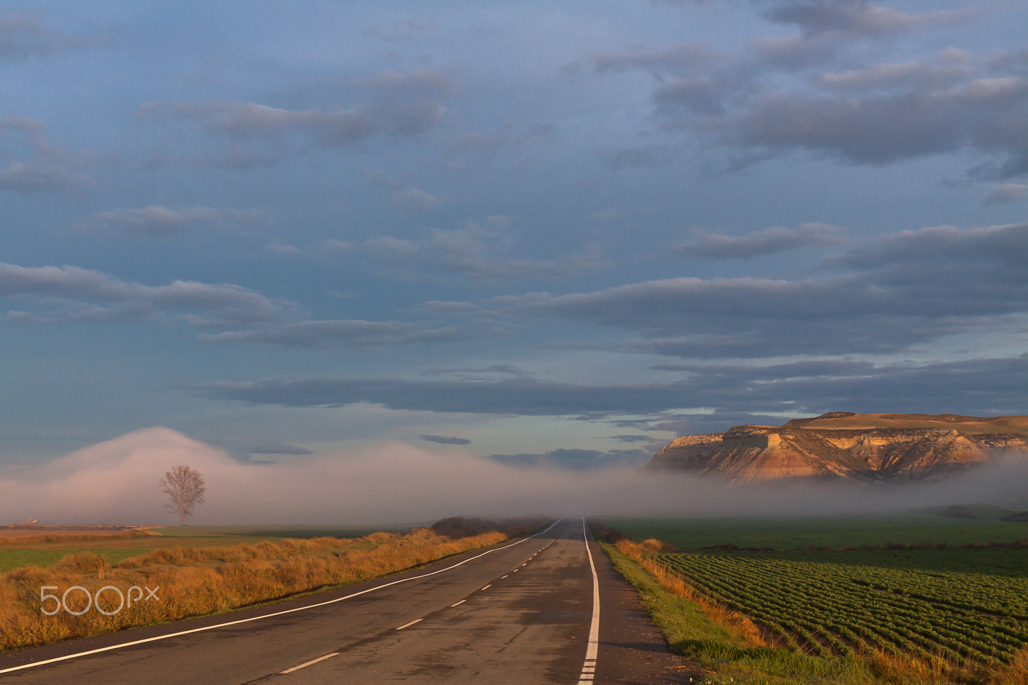 Canon EF 17-40mm F4L USM sample photo. La carretera photography
