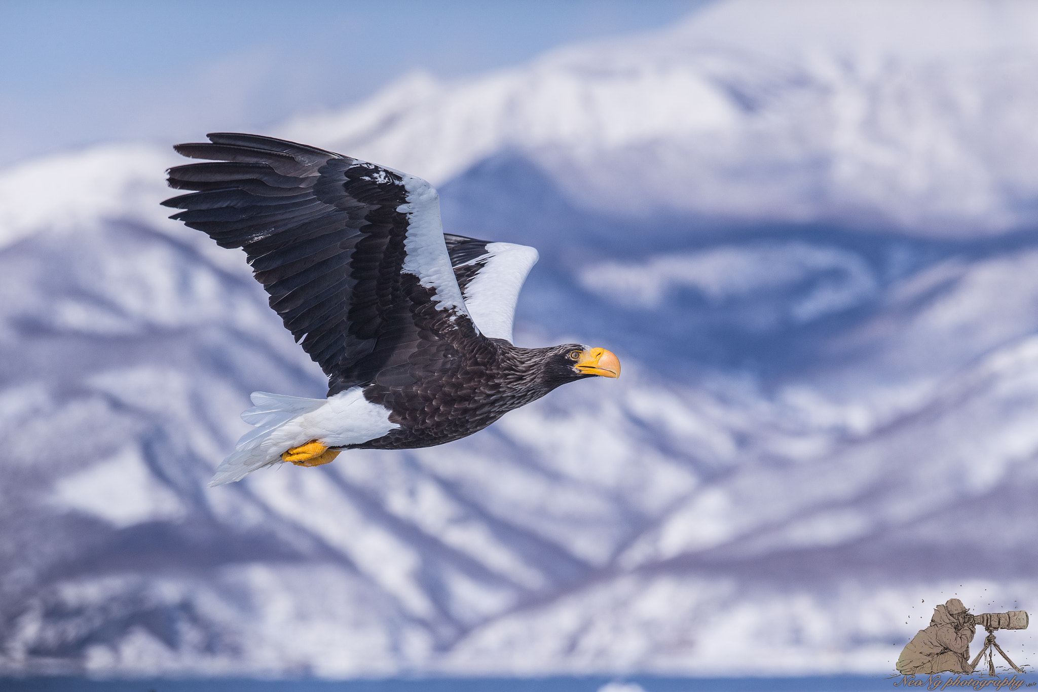 Canon EF 300mm F2.8L IS II USM sample photo. Neo photography