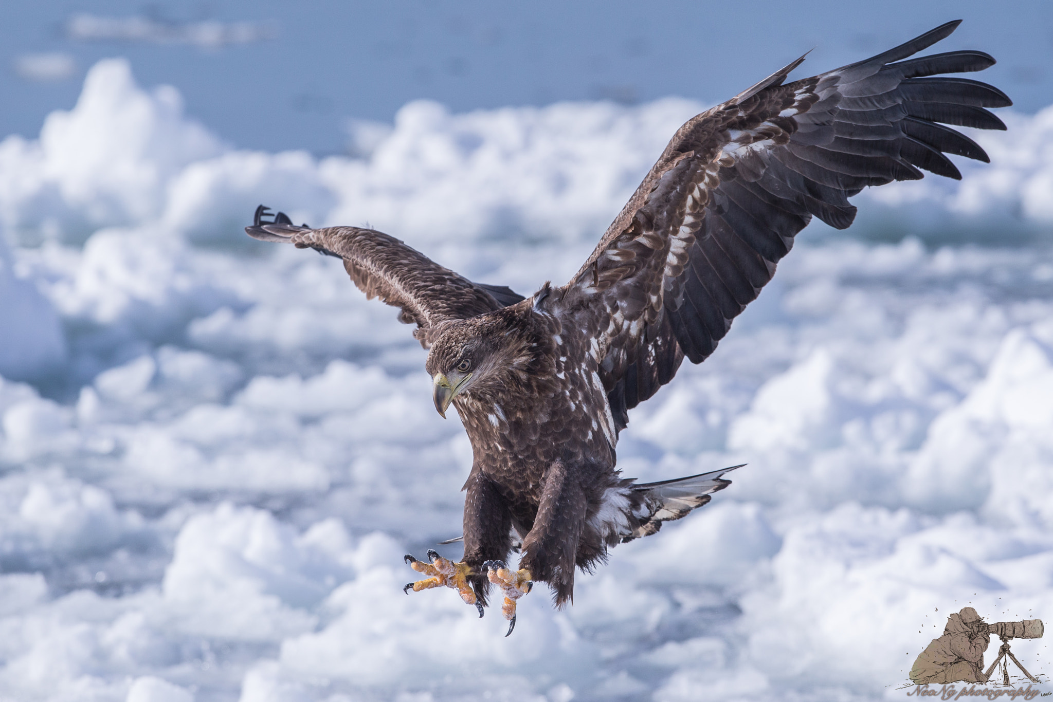 Canon EF 300mm F2.8L IS II USM sample photo. Neo photography