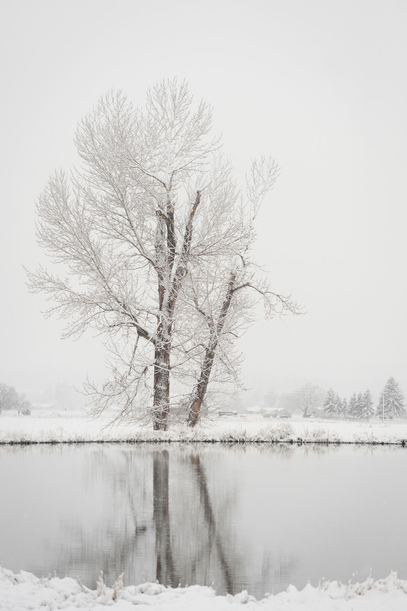 Nikon D3 sample photo. Winter reflection photography