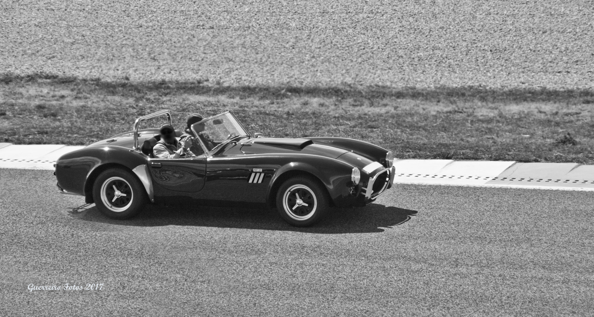 Sigma 18-250mm F3.5-6.3 DC OS HSM sample photo. Ac cobra photography