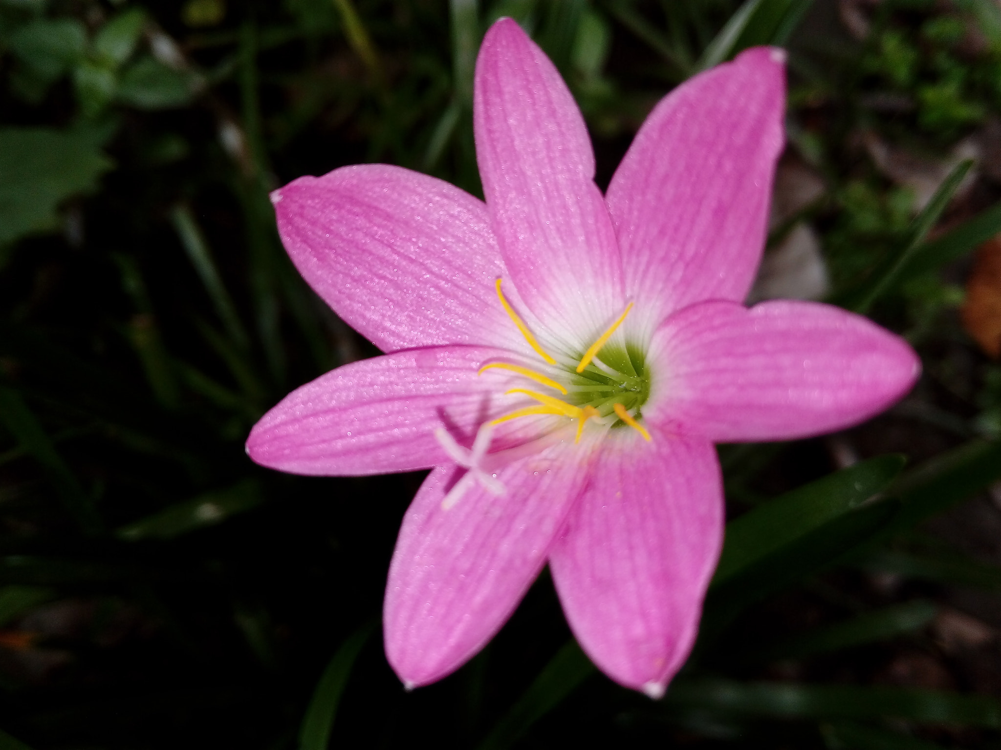 HUAWEI GR3 sample photo