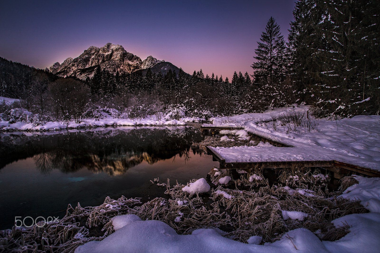 Canon EF 16-35mm F2.8L USM sample photo. Sunrise- zelenci (slovenia) photography
